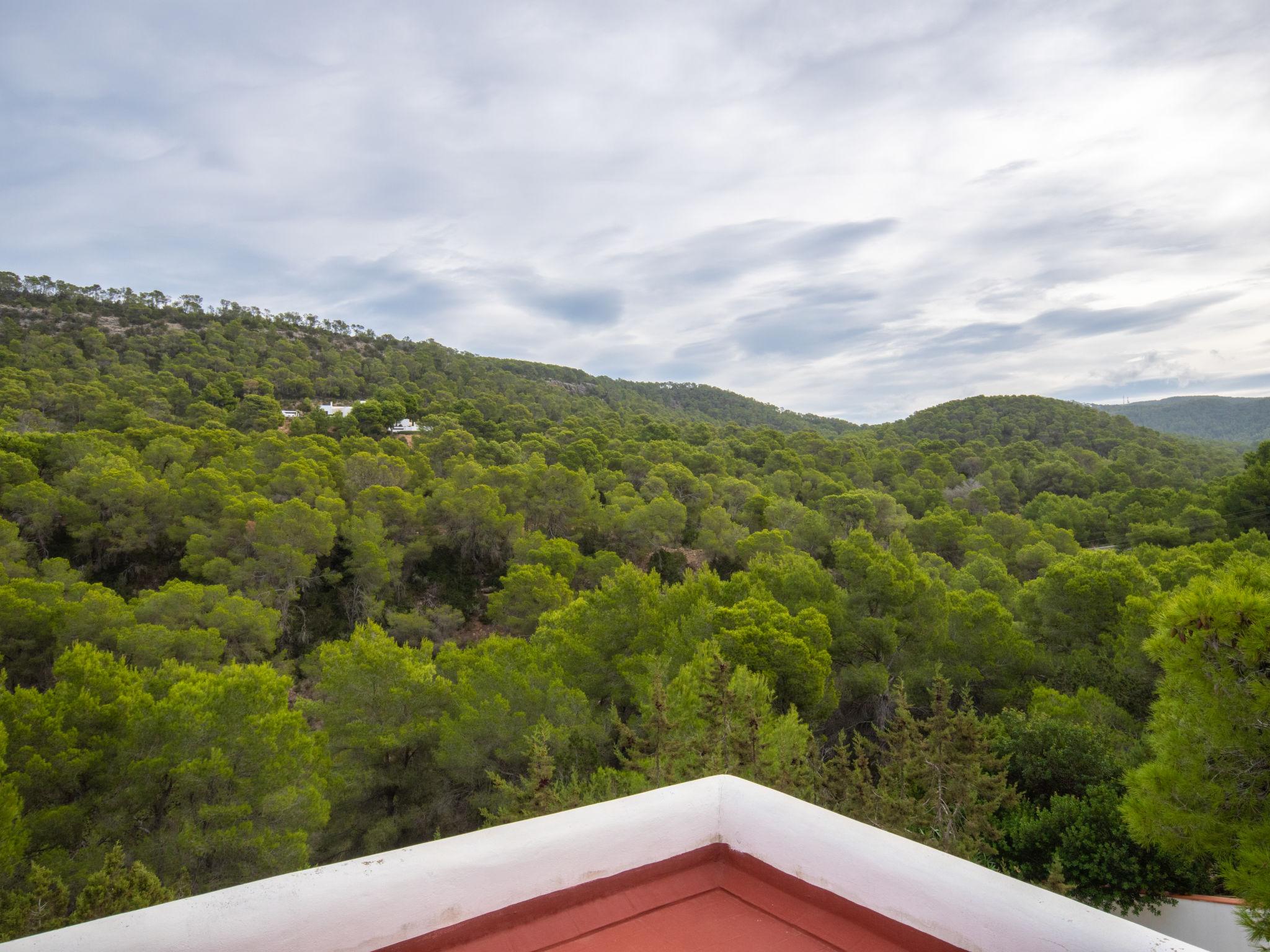 Foto 56 - Haus mit 3 Schlafzimmern in Sant Josep de sa Talaia mit privater pool und garten