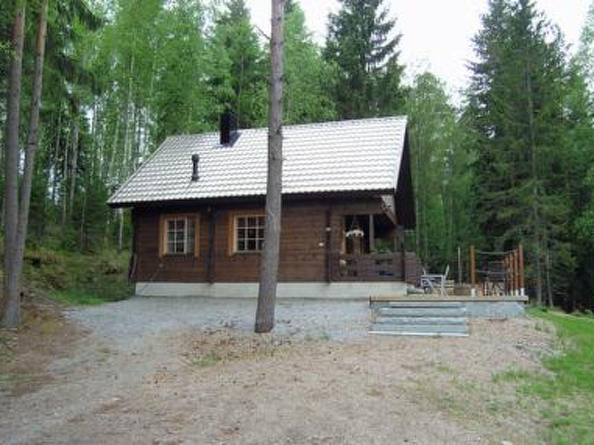 Foto 8 - Haus mit 1 Schlafzimmer in Ruovesi mit sauna