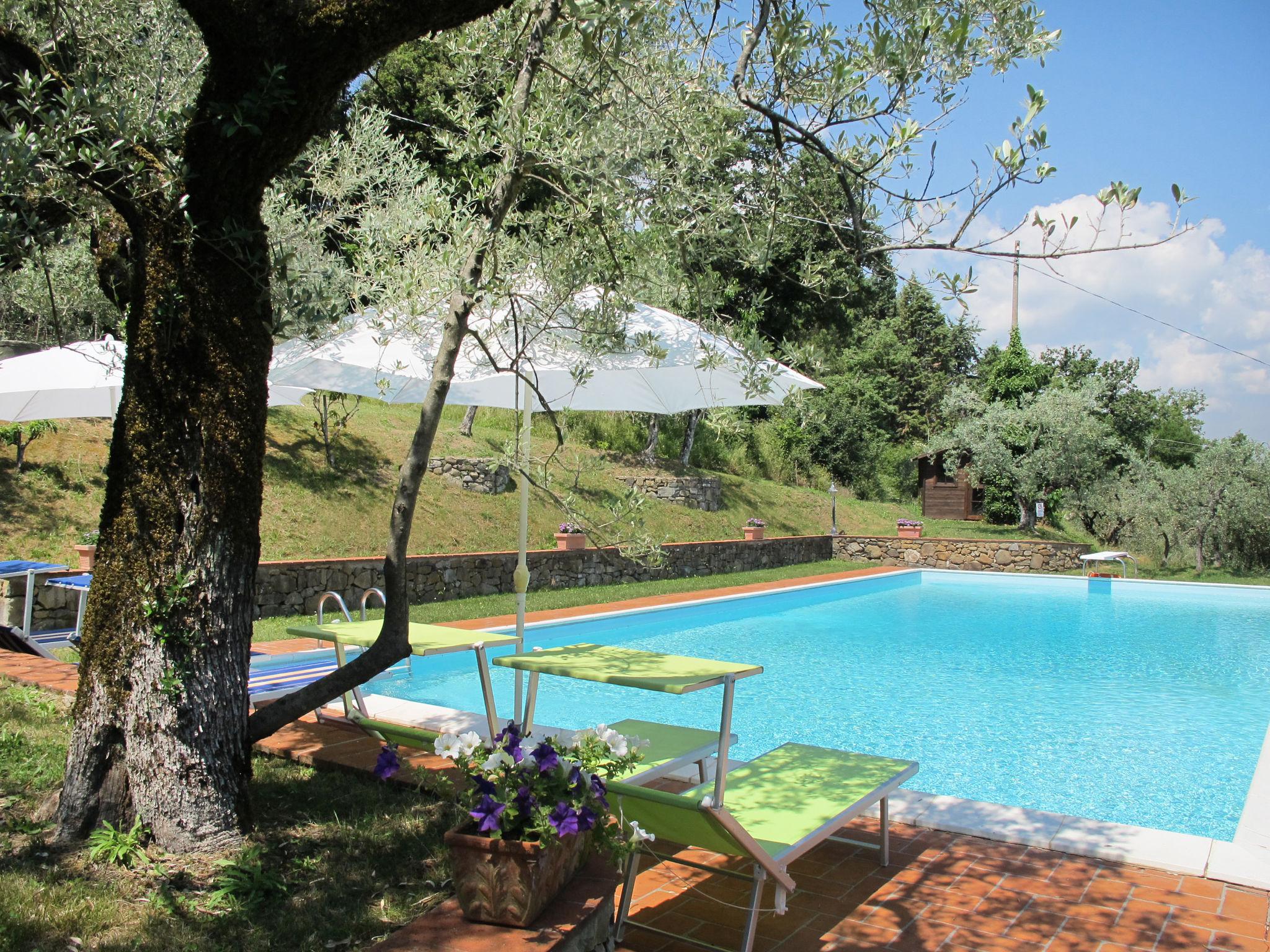 Foto 17 - Casa de 1 quarto em Montevarchi com piscina e jardim