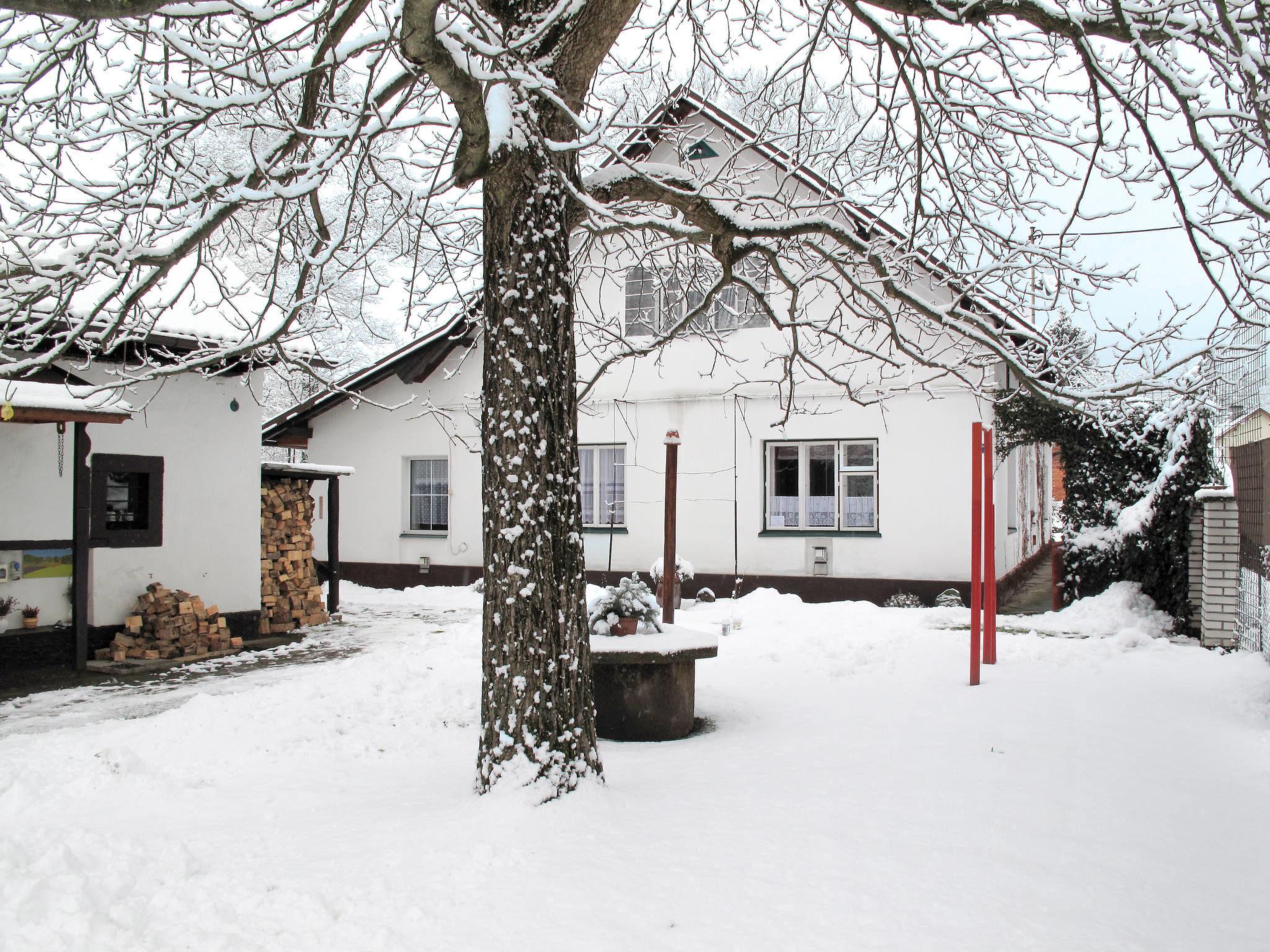 Foto 35 - Casa de 4 quartos em Kvasiny com piscina privada e jardim