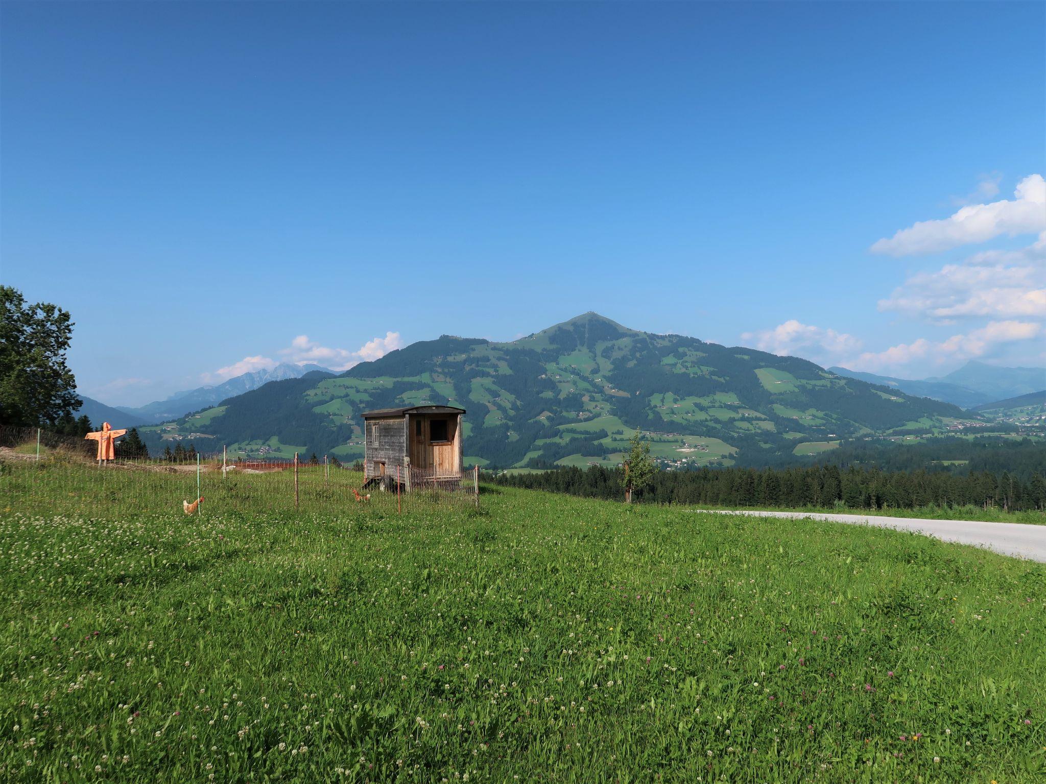 Foto 5 - Apartment mit 2 Schlafzimmern in Hopfgarten im Brixental mit blick auf die berge