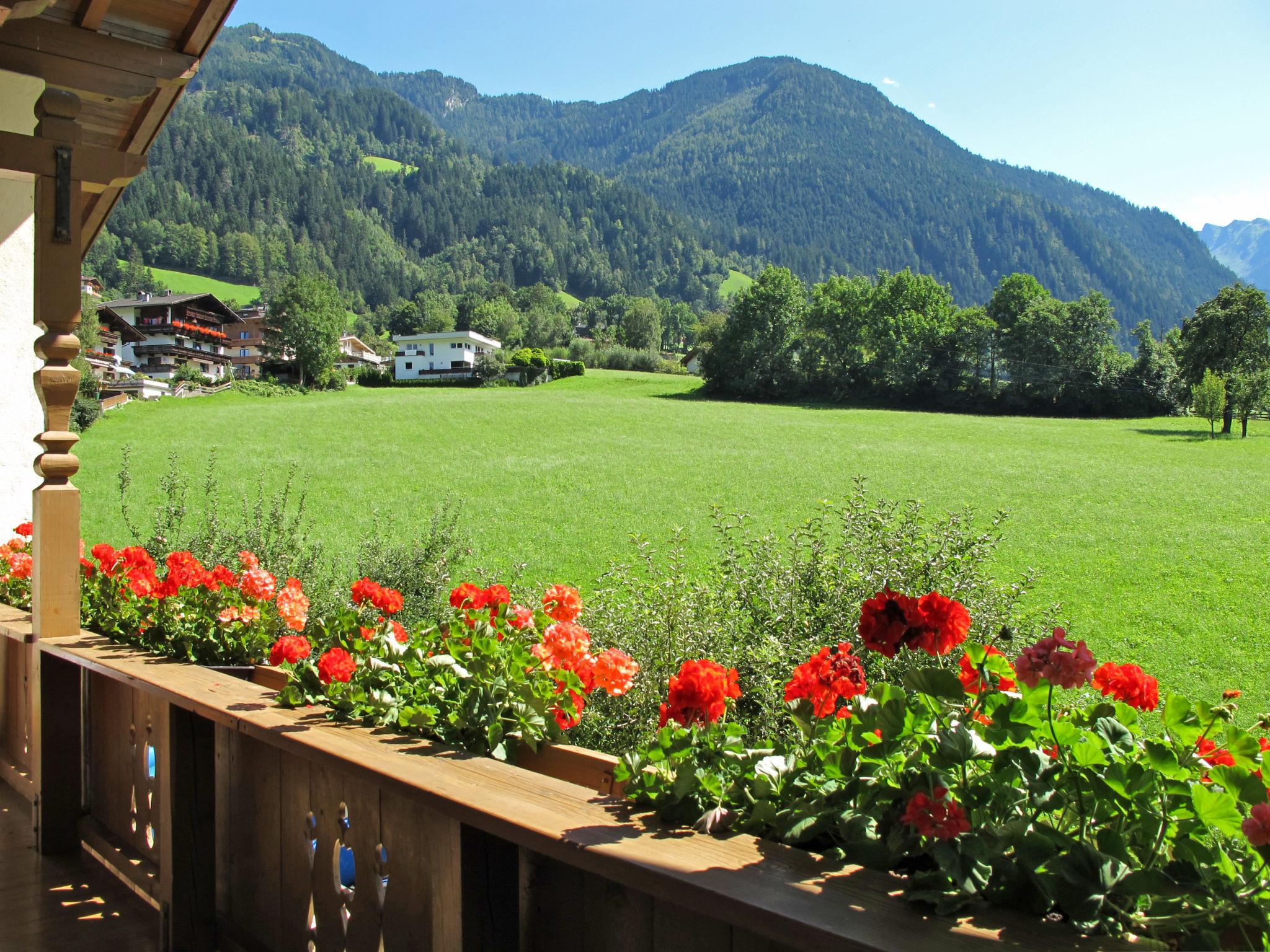 Foto 2 - Apartamento de 2 habitaciones en Ramsau im Zillertal con vistas a la montaña