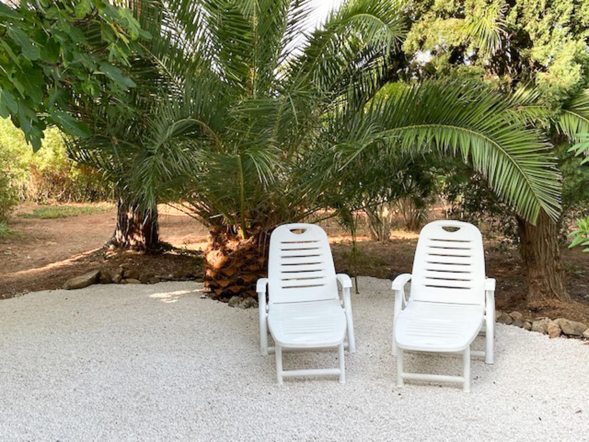 Foto 3 - Appartamento con 1 camera da letto a La Croix-Valmer con piscina e terrazza