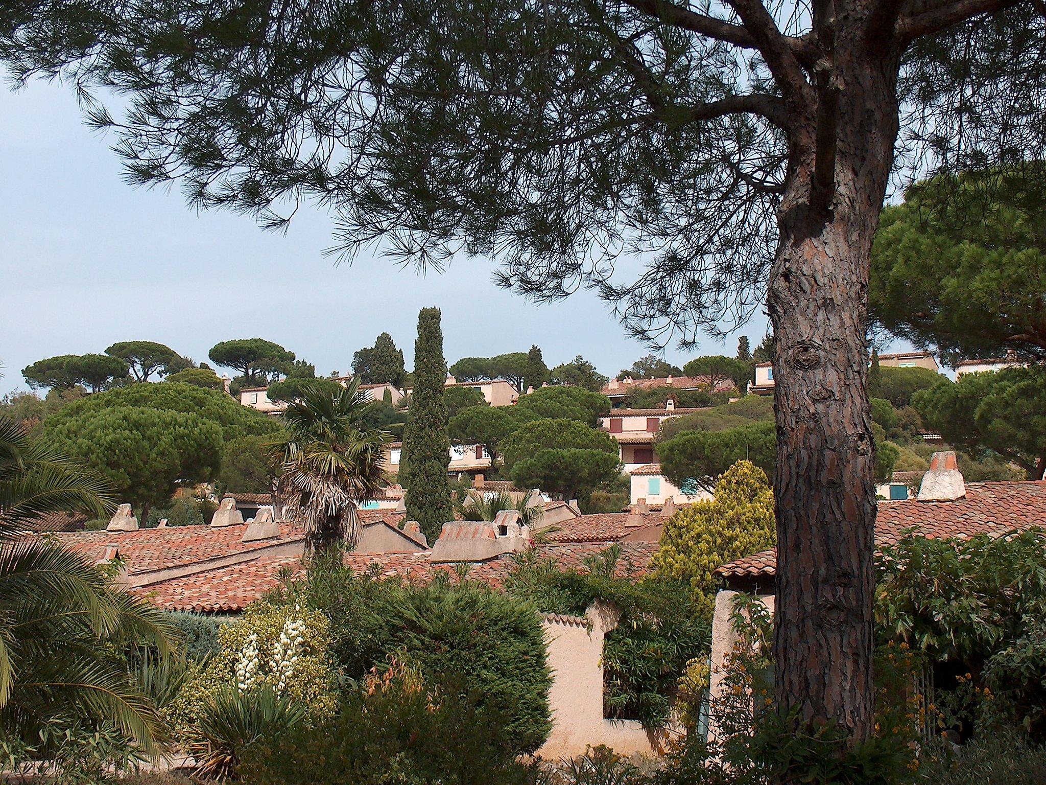 Photo 22 - 1 bedroom Apartment in La Croix-Valmer with swimming pool and sea view