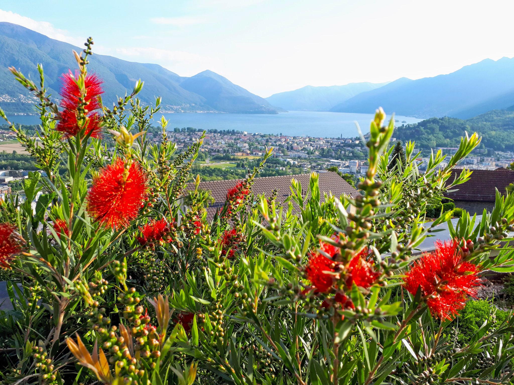 Photo 10 - Appartement en Locarno avec piscine et vues sur la montagne