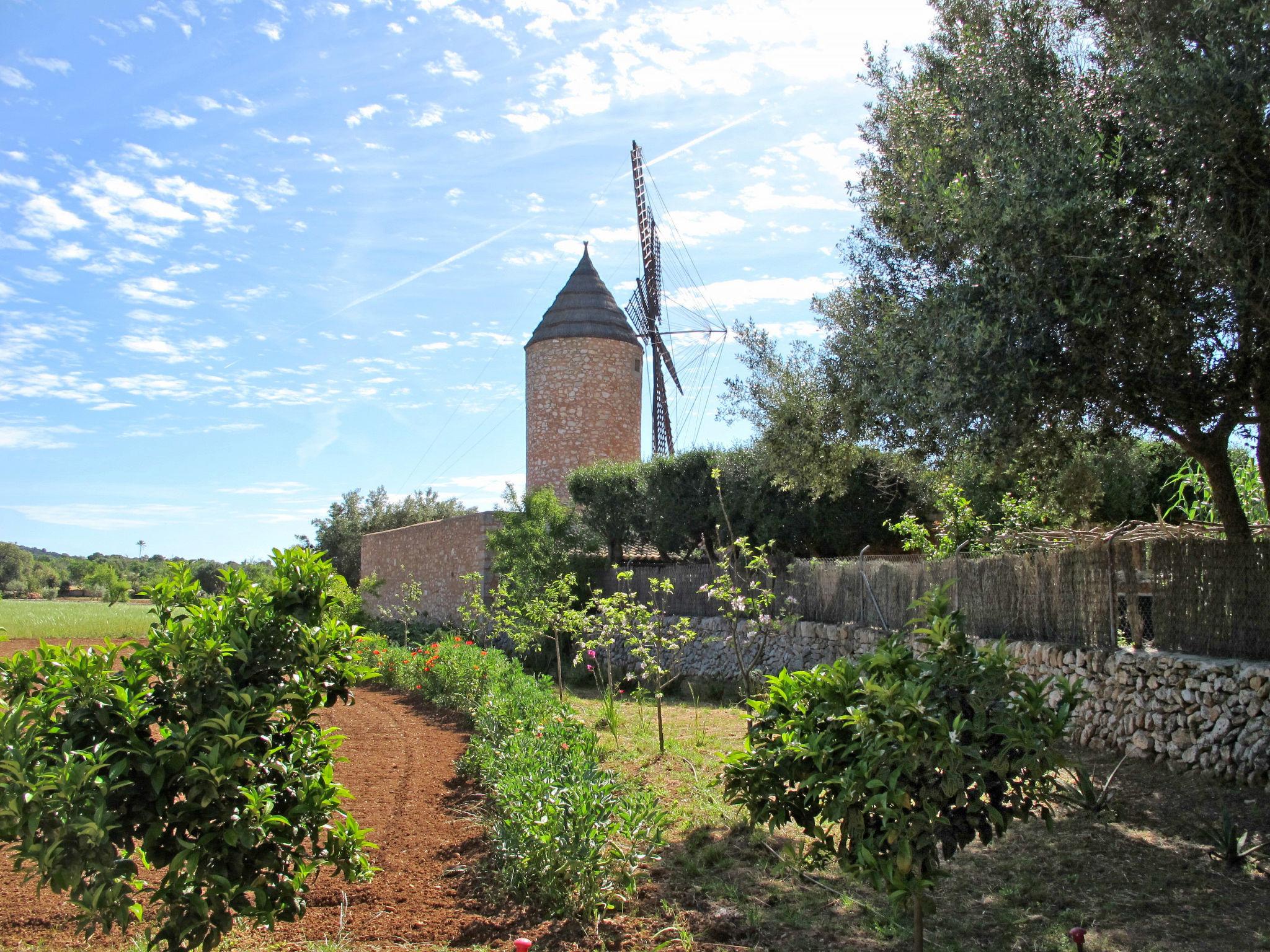 Photo 44 - 4 bedroom House in Santanyí with private pool and garden