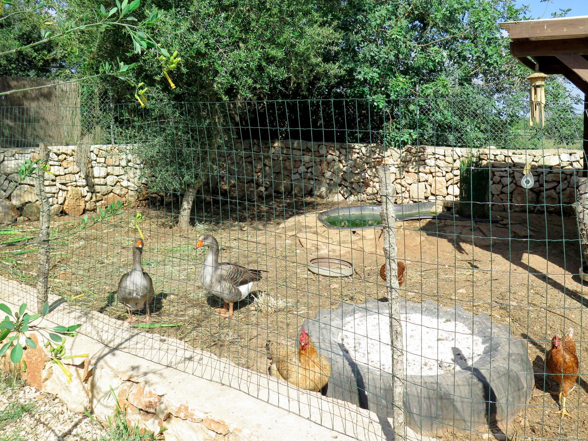 Foto 48 - Casa con 4 camere da letto a Santanyí con piscina privata e giardino