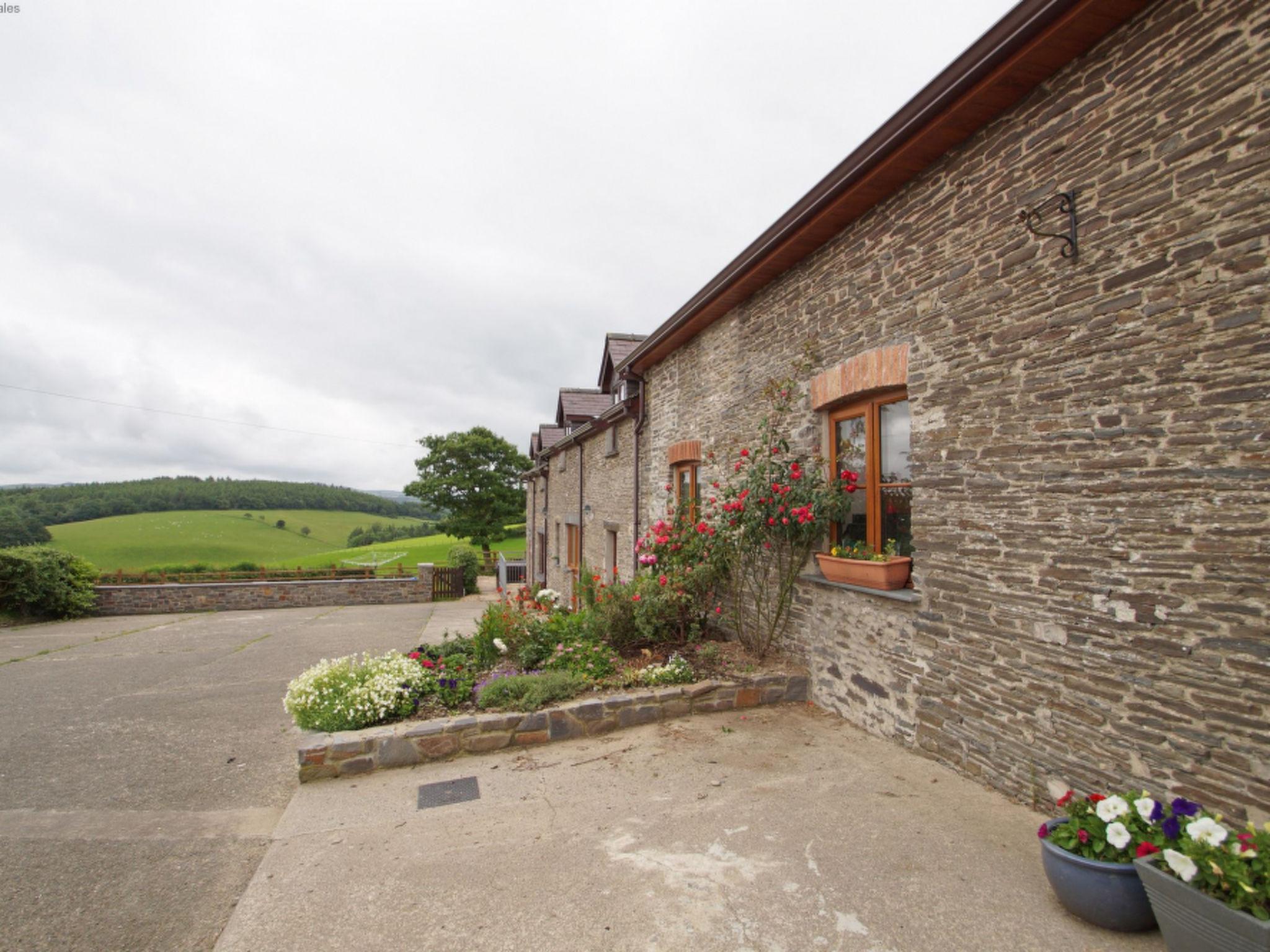 Photo 20 - Maison de 3 chambres à Lampeter avec jardin et bain à remous