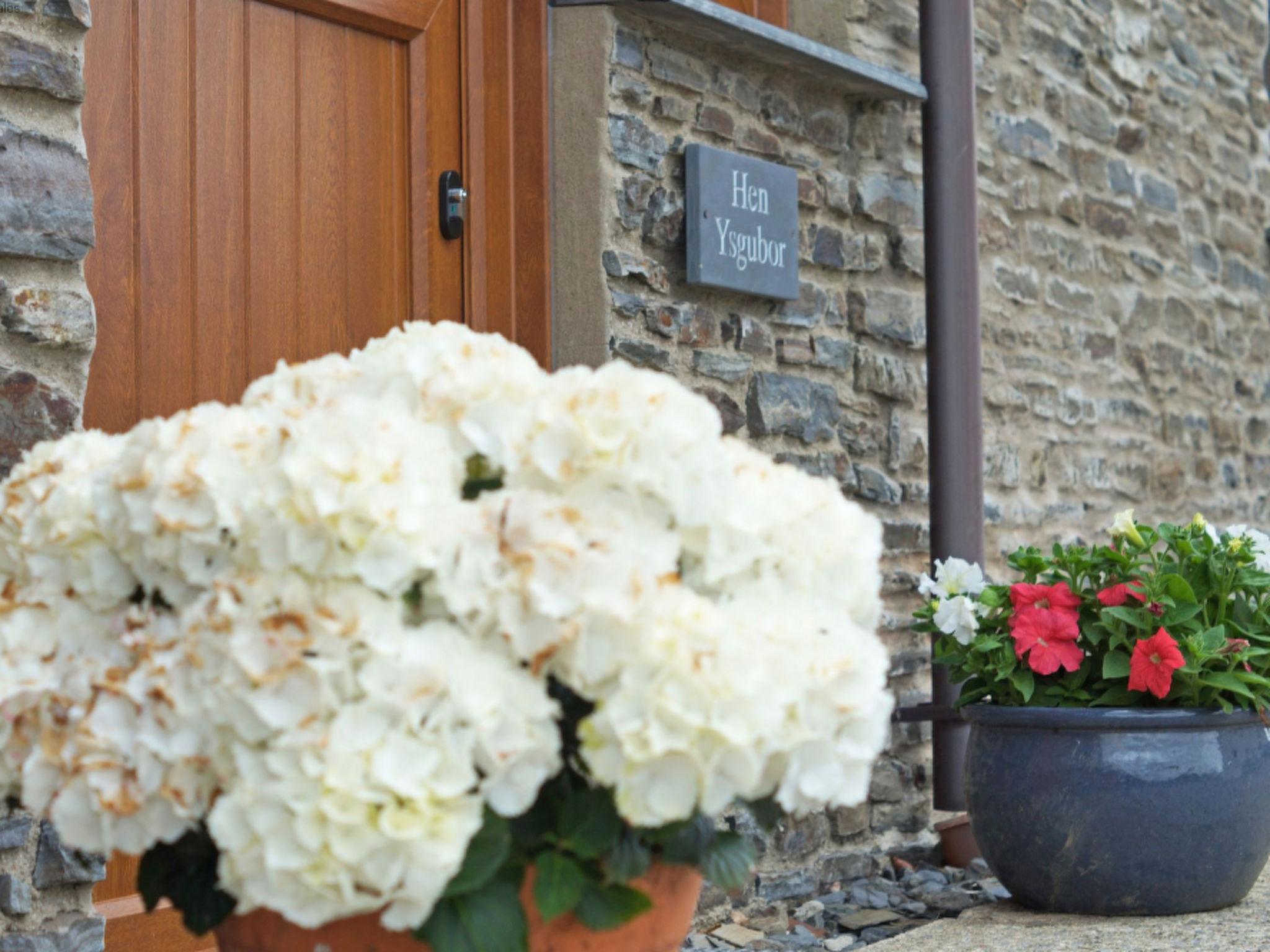 Photo 17 - Maison de 3 chambres à Lampeter avec jardin et bain à remous