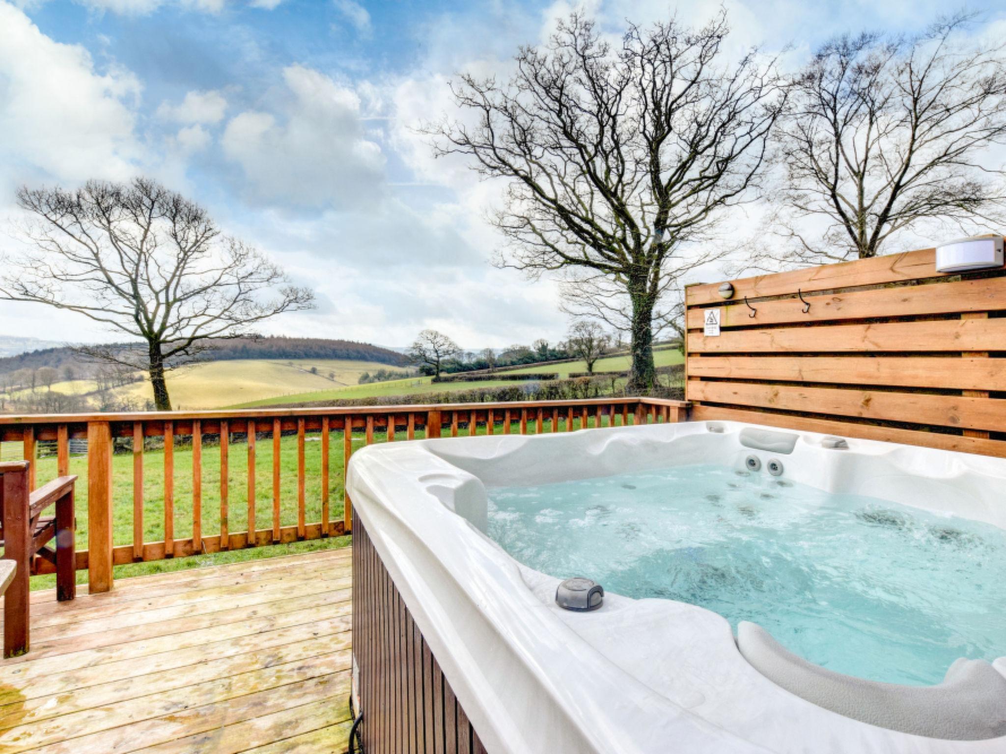 Photo 2 - Maison de 3 chambres à Lampeter avec jardin et bain à remous