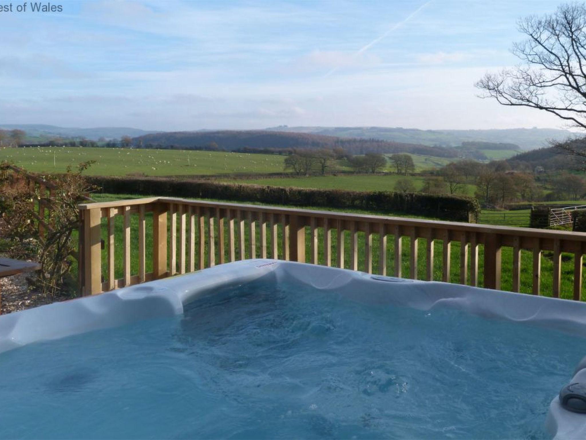 Photo 18 - 3 bedroom House in Lampeter with garden and hot tub