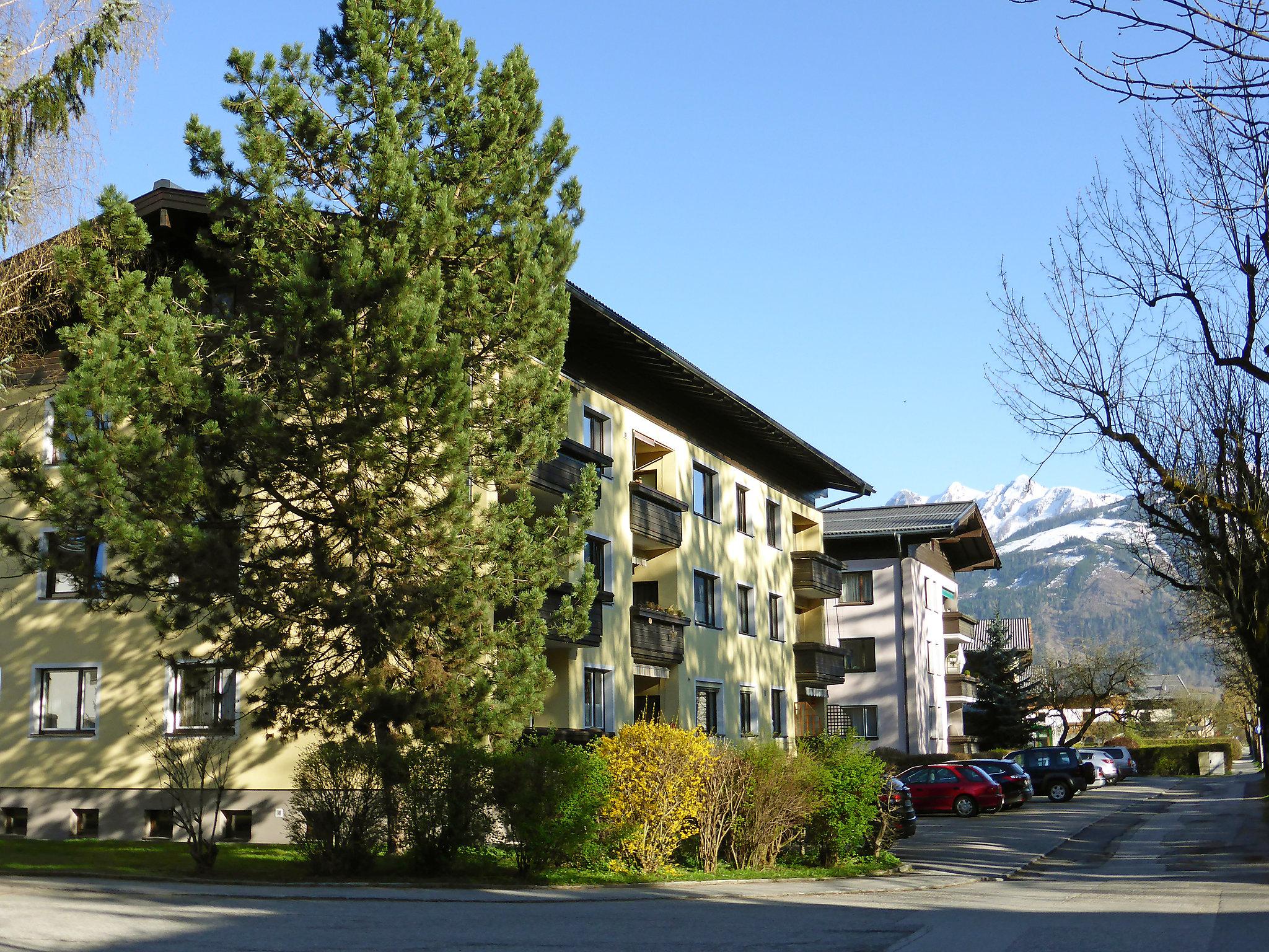 Foto 20 - Apartamento de 2 habitaciones en Zell am See con jardín y vistas a la montaña