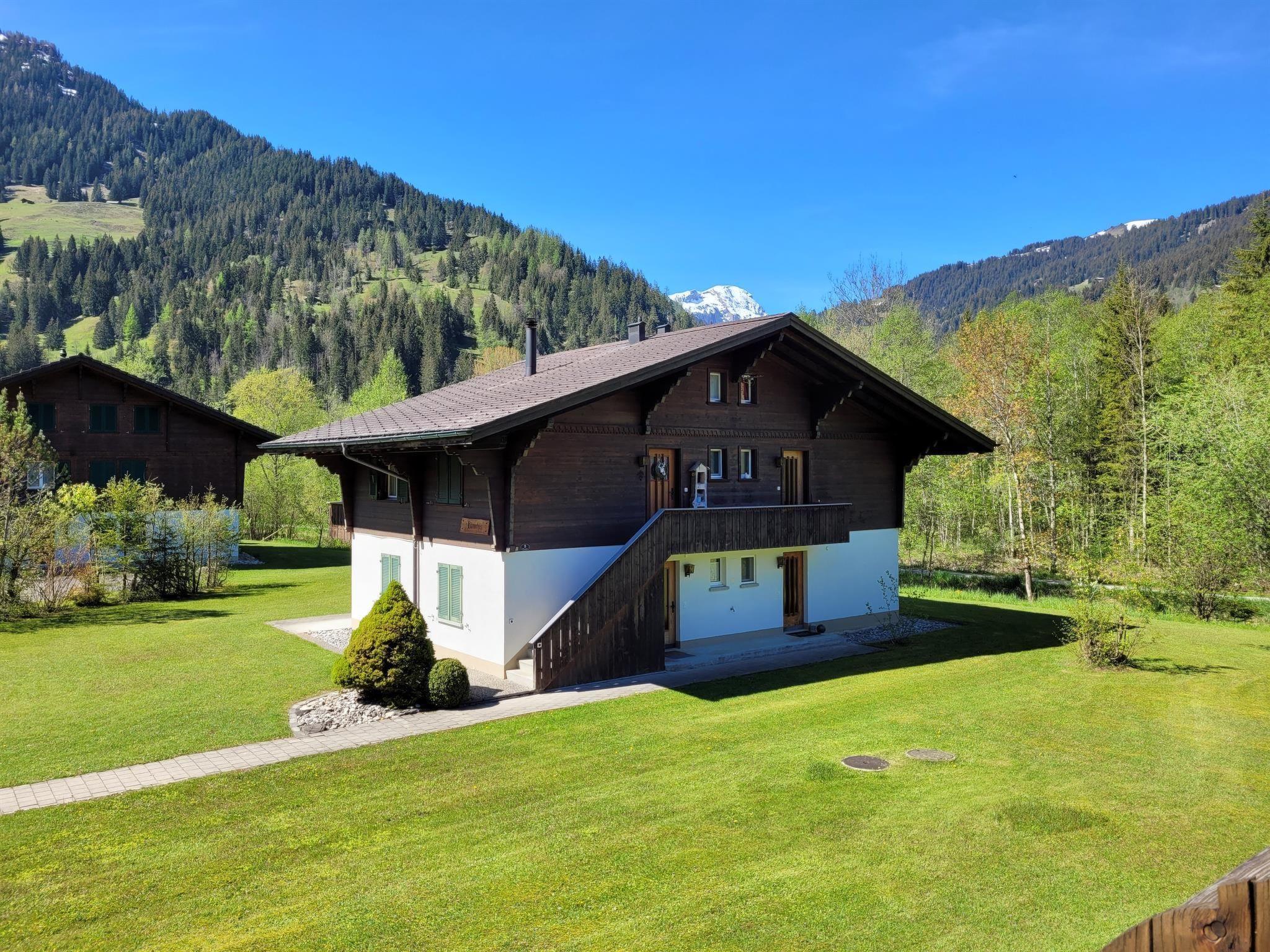 Photo 4 - 2 bedroom Apartment in Lenk