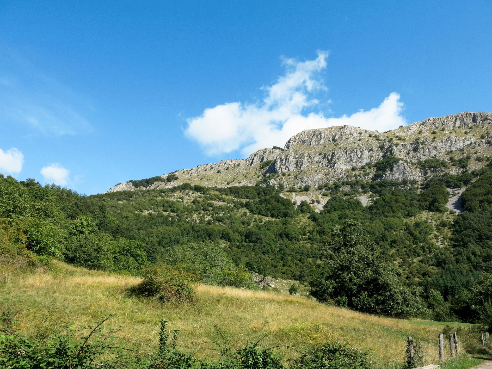 Photo 3 - 3 bedroom House in San Romano in Garfagnana with garden and terrace