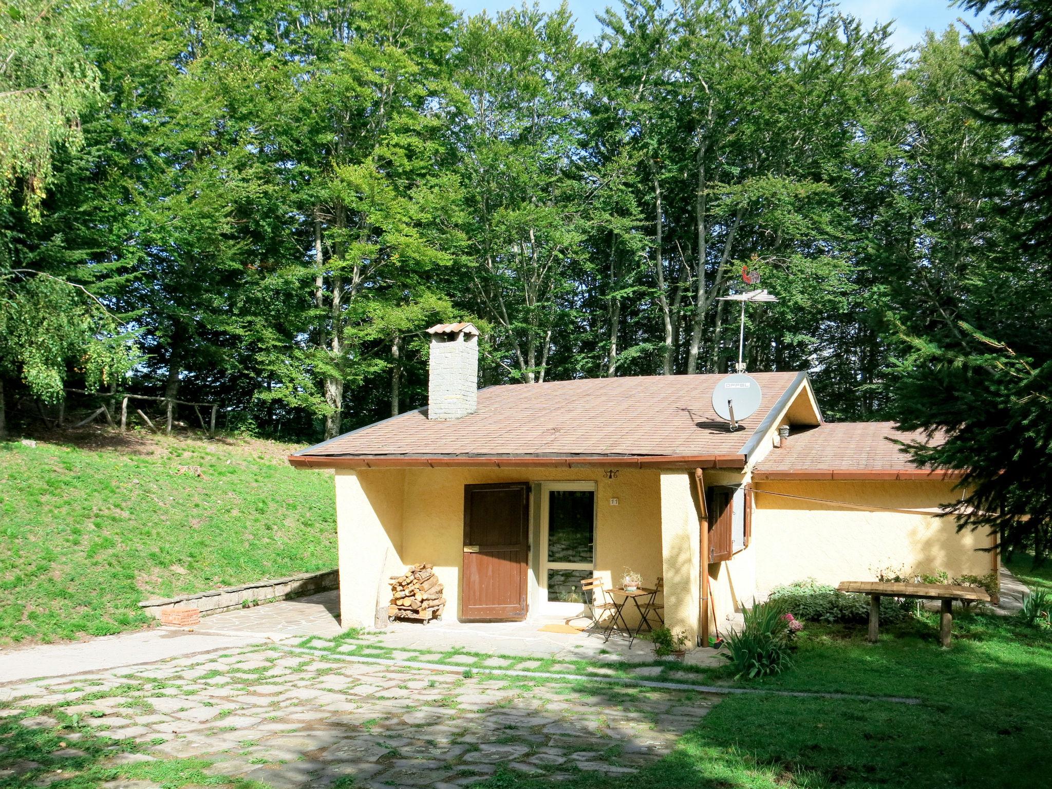 Photo 1 - Maison de 3 chambres à San Romano in Garfagnana avec jardin et terrasse