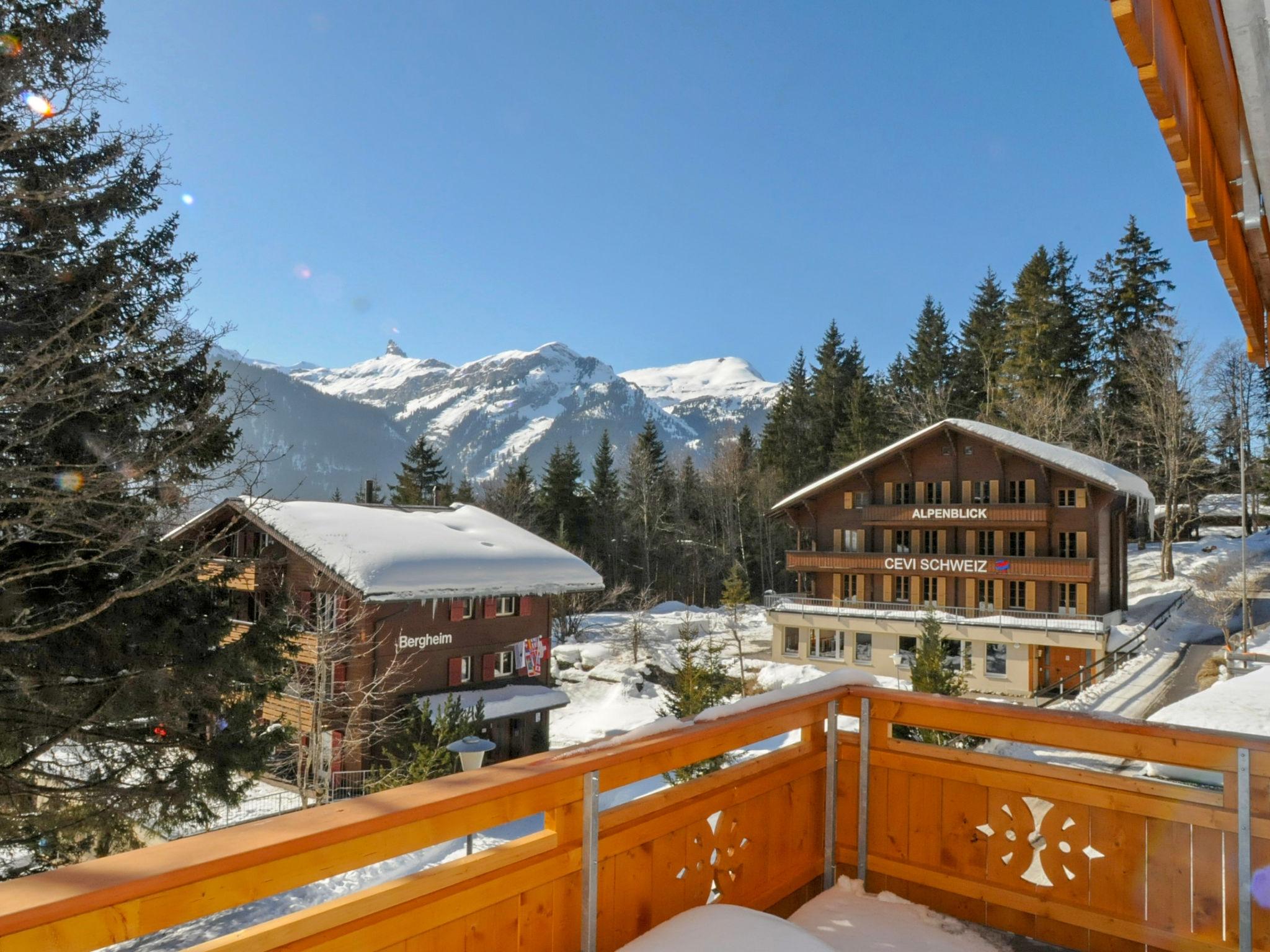 Foto 20 - Appartamento con 2 camere da letto a Lauterbrunnen con terrazza