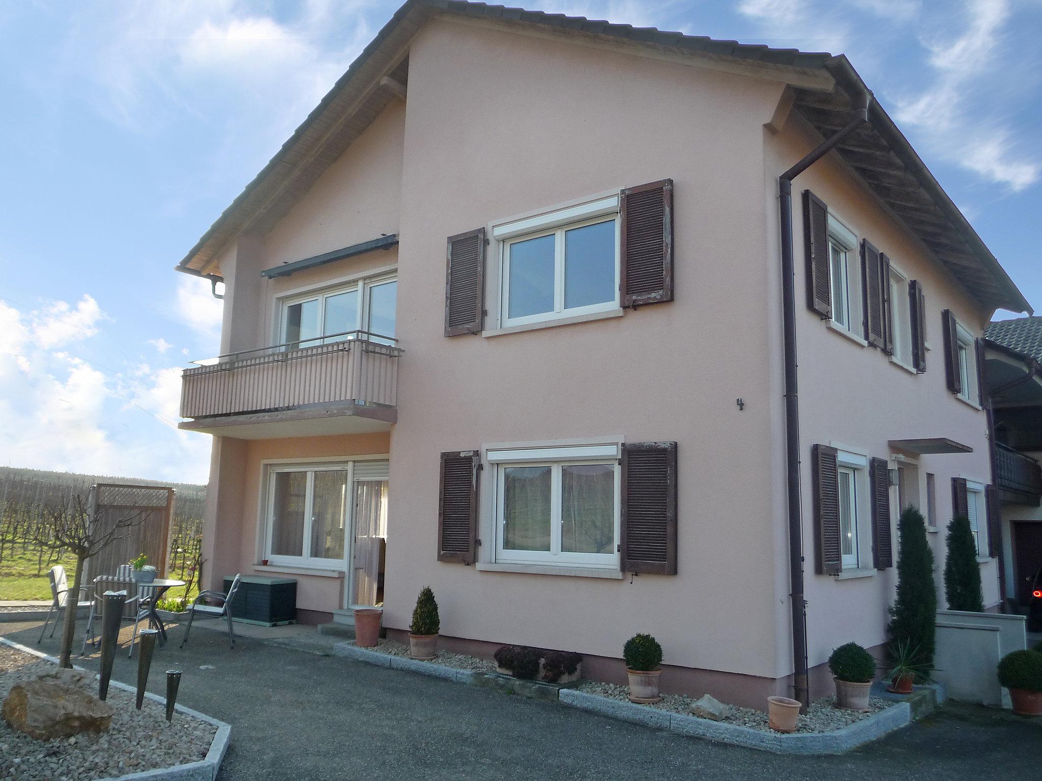 Photo 5 - Appartement de 1 chambre à Vogtsburg im Kaiserstuhl avec jardin et vues sur la montagne