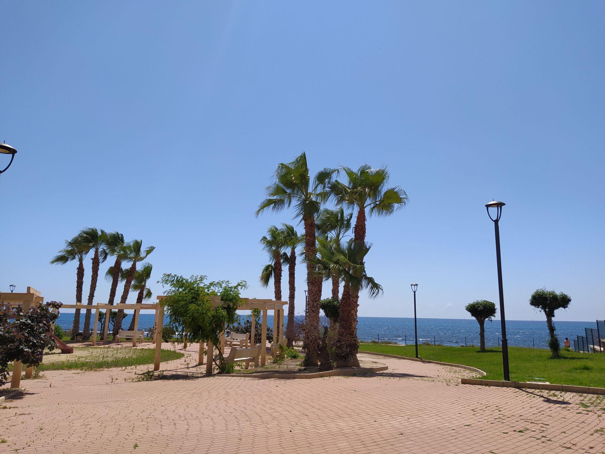 Foto 16 - Appartamento con 2 camere da letto a El Campello con piscina e terrazza