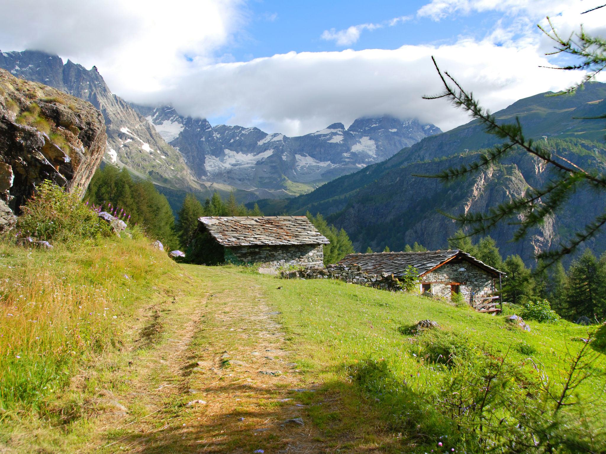 Photo 29 - Apartment in Valtournenche with garden and mountain view