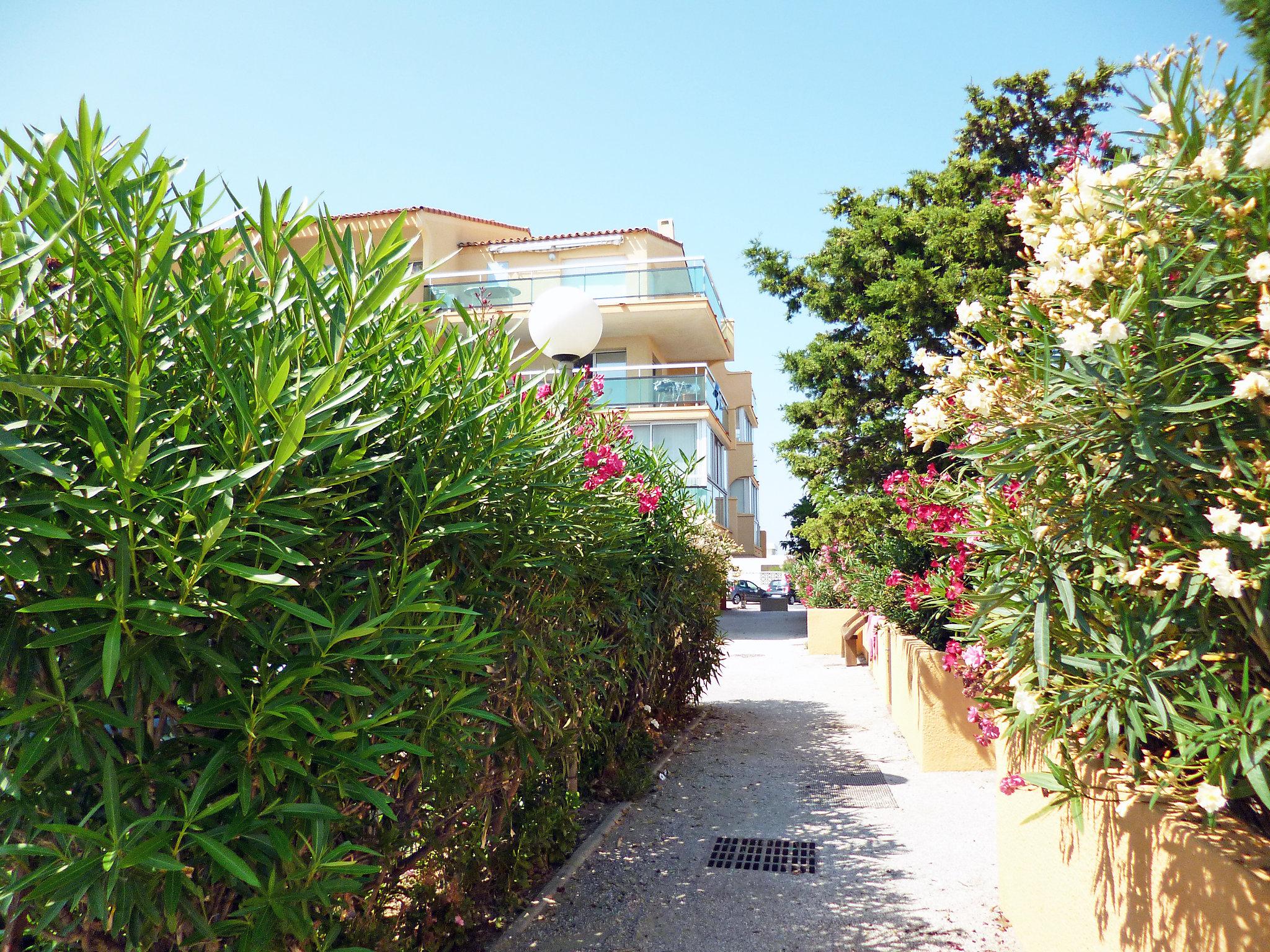 Photo 20 - 1 bedroom Apartment in Le Barcarès with terrace and sea view