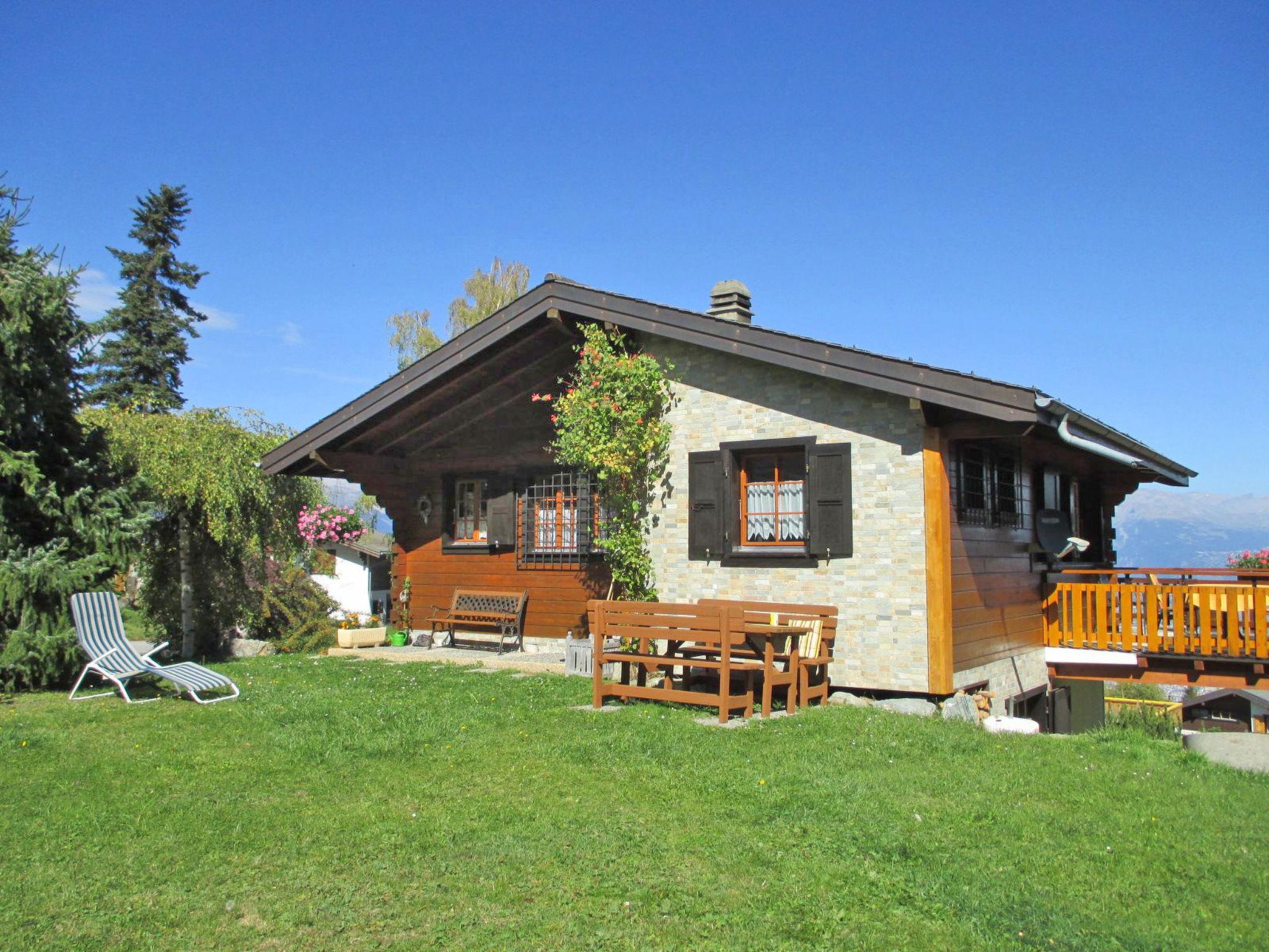 Photo 1 - Maison de 3 chambres à Nendaz avec jardin et terrasse