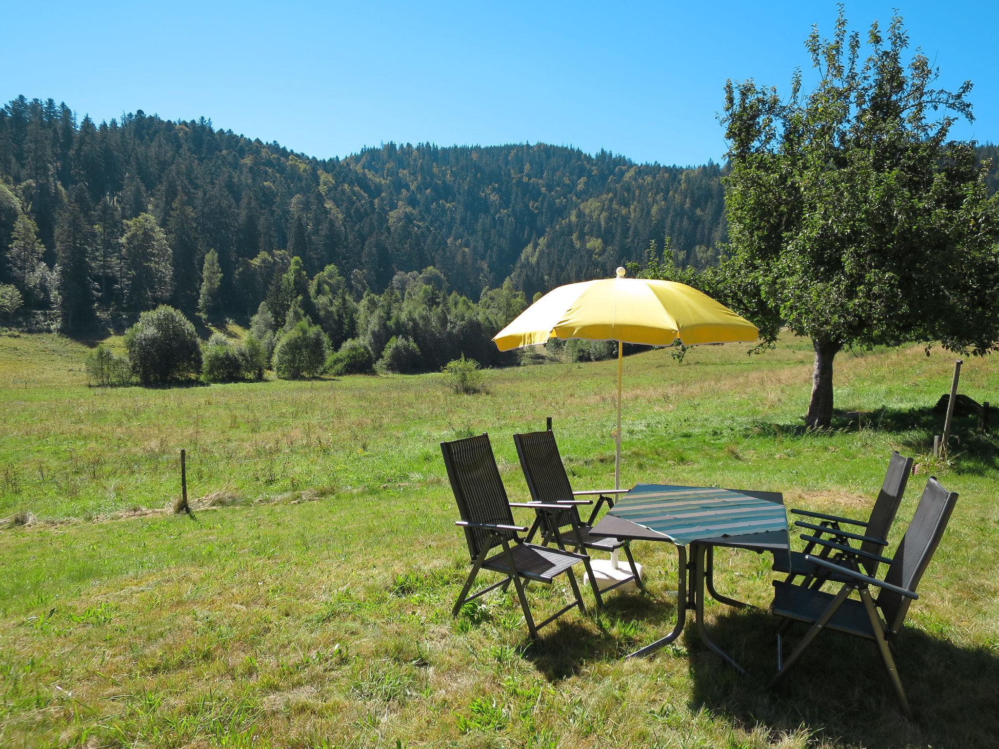 Foto 9 - Casa con 3 camere da letto a Hinterzarten con giardino e vista sulle montagne