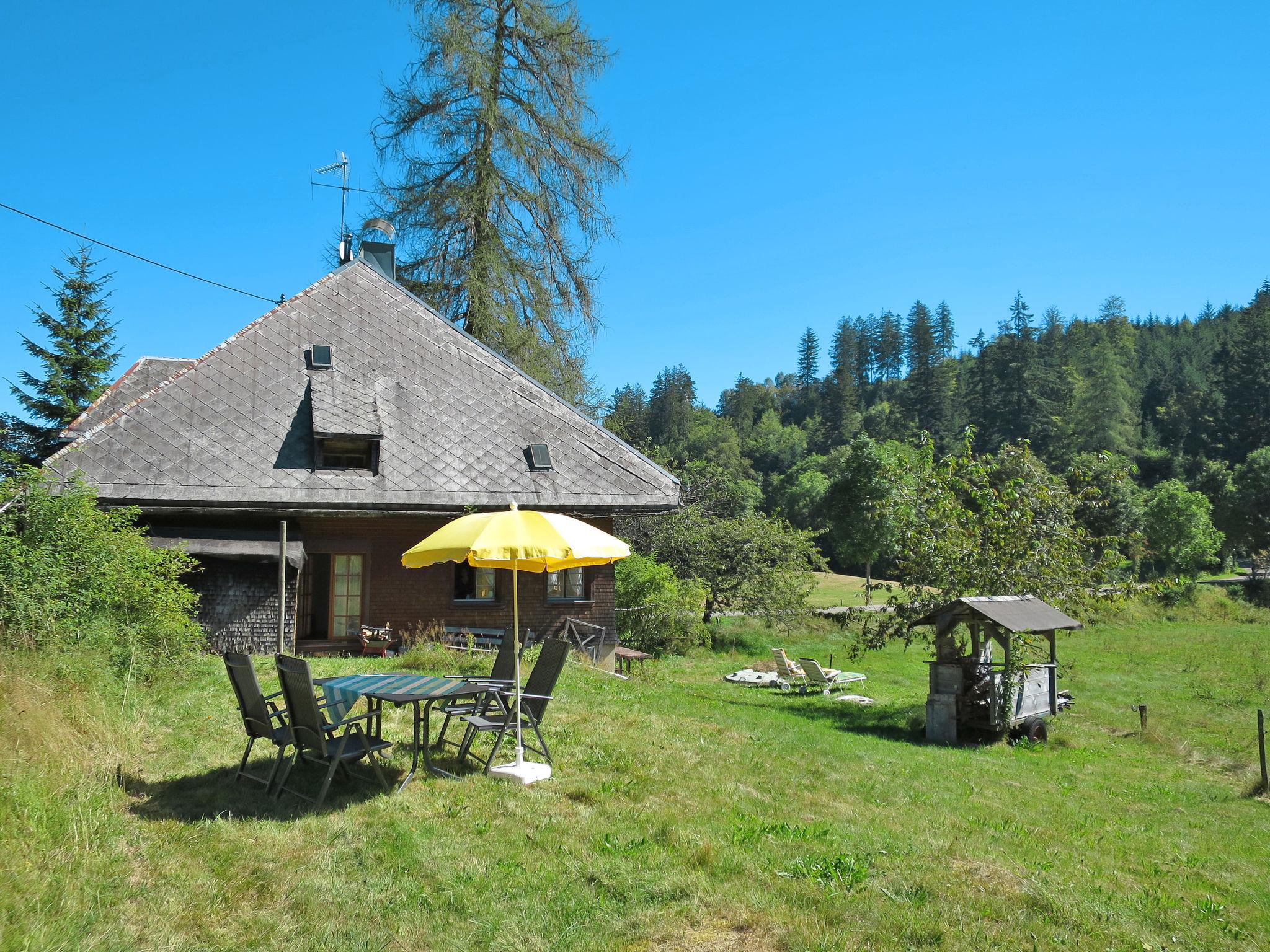 Photo 1 - Maison de 3 chambres à Hinterzarten avec jardin et vues sur la montagne