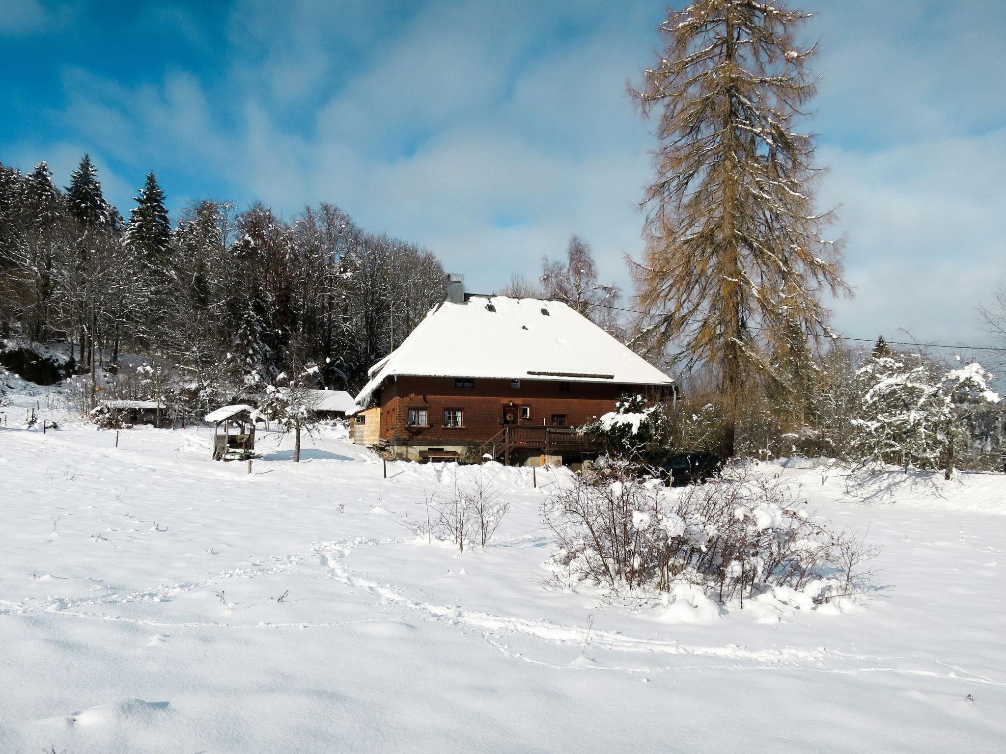 Foto 23 - Casa de 3 quartos em Hinterzarten com jardim e vista para a montanha