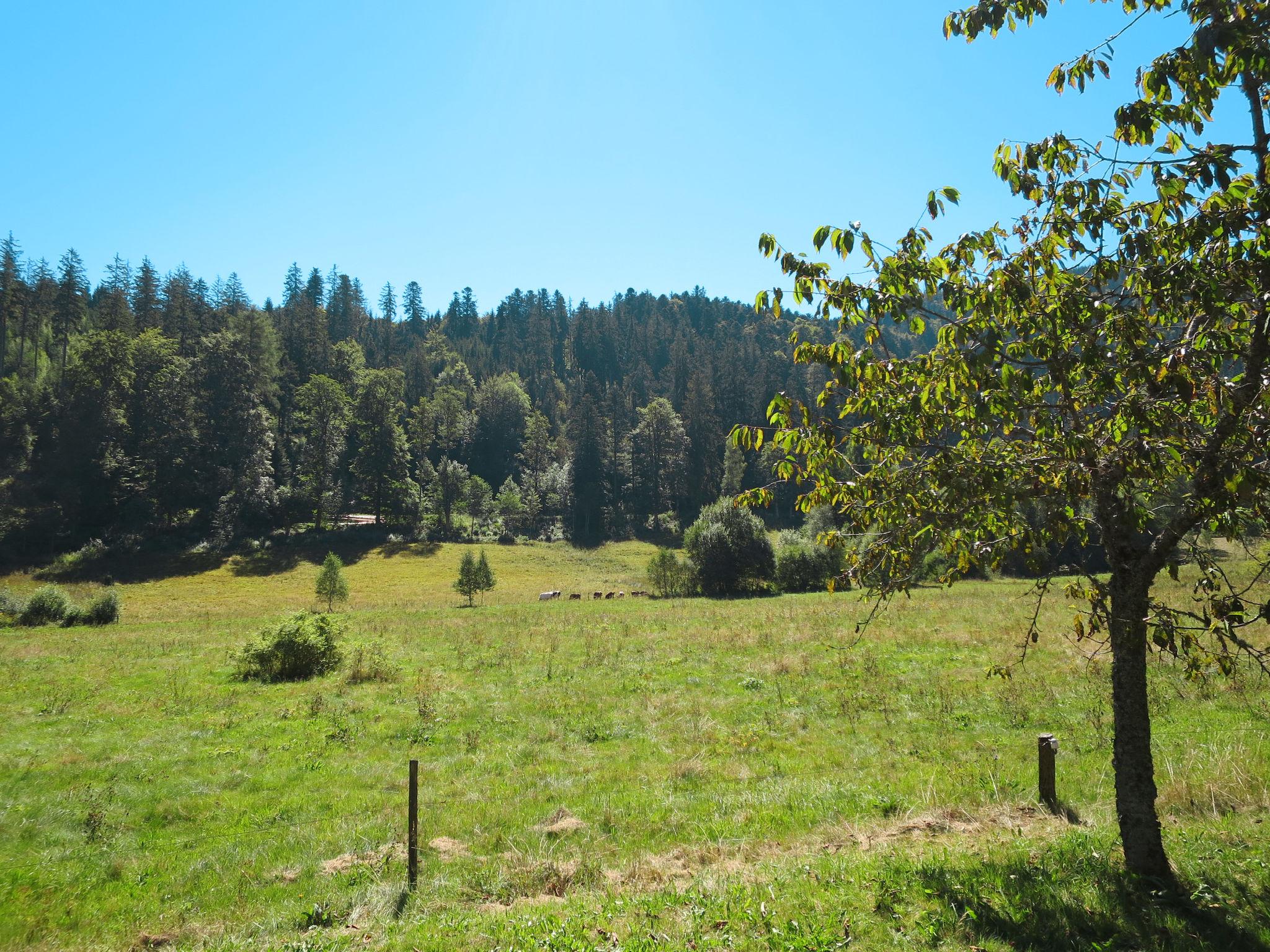 Photo 10 - Maison de 3 chambres à Hinterzarten avec jardin et vues sur la montagne