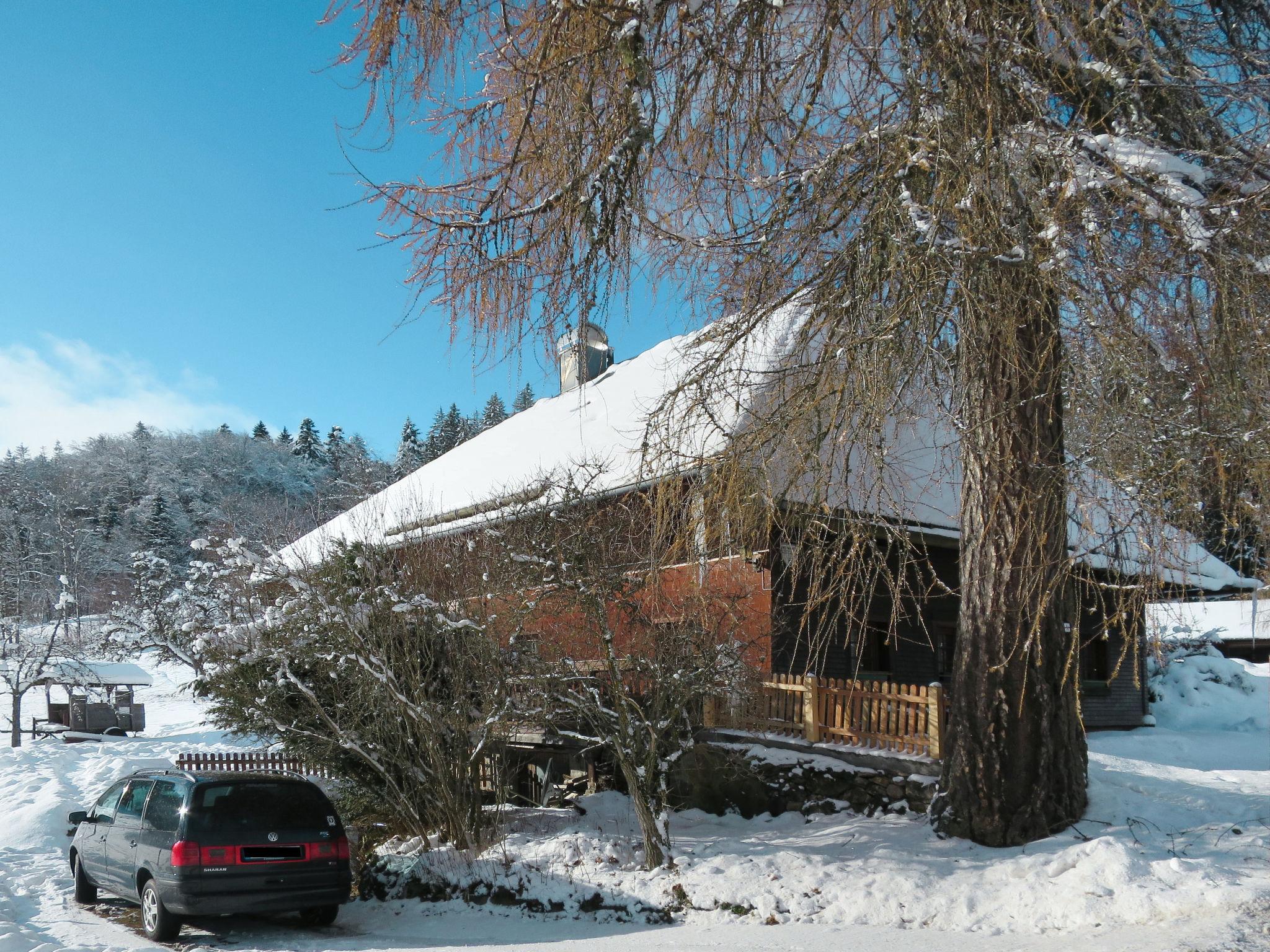 Foto 24 - Haus mit 3 Schlafzimmern in Hinterzarten mit garten und blick auf die berge