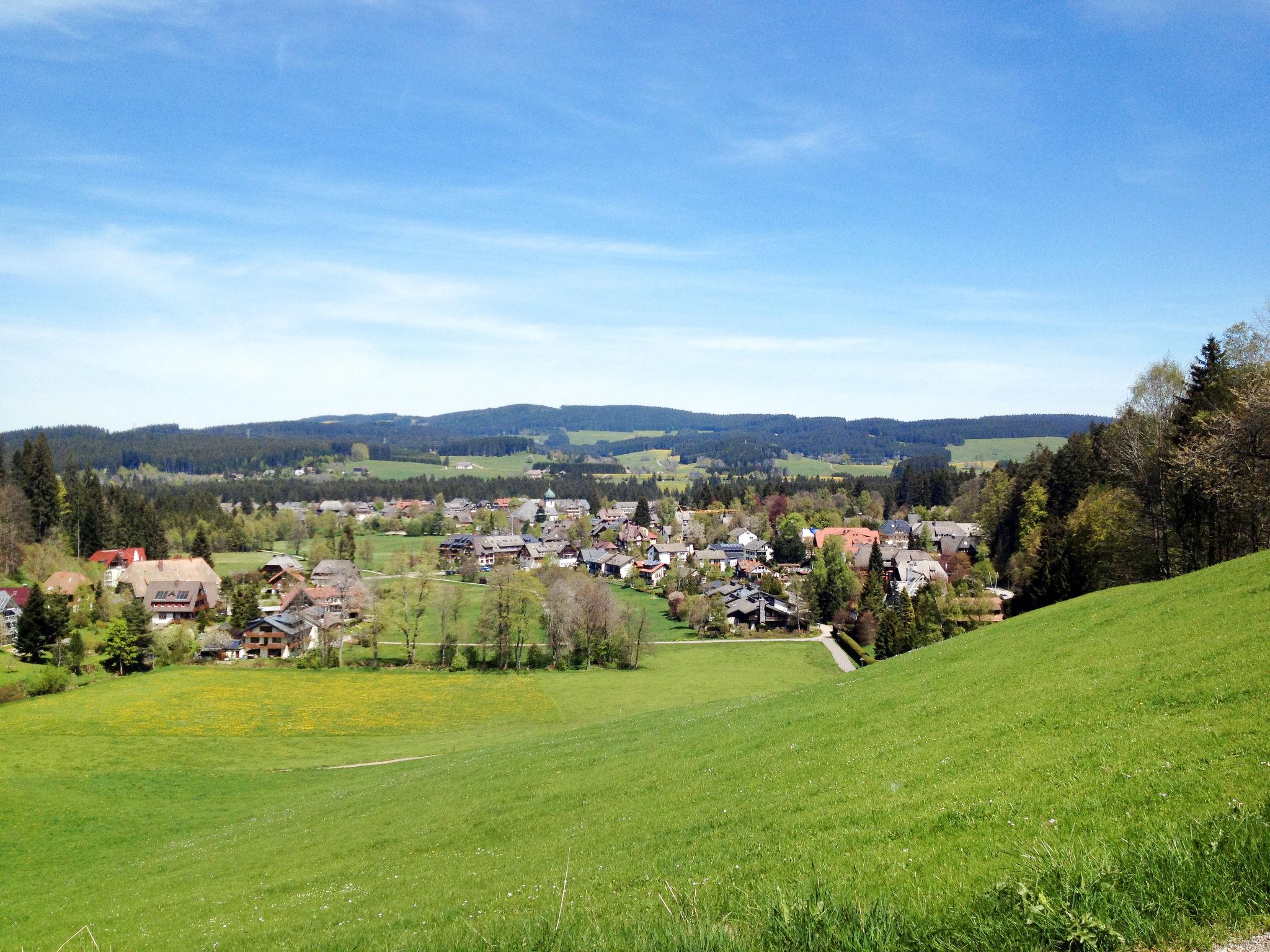 Foto 32 - Apartamento de 2 quartos em Hinterzarten com terraço e vista para a montanha