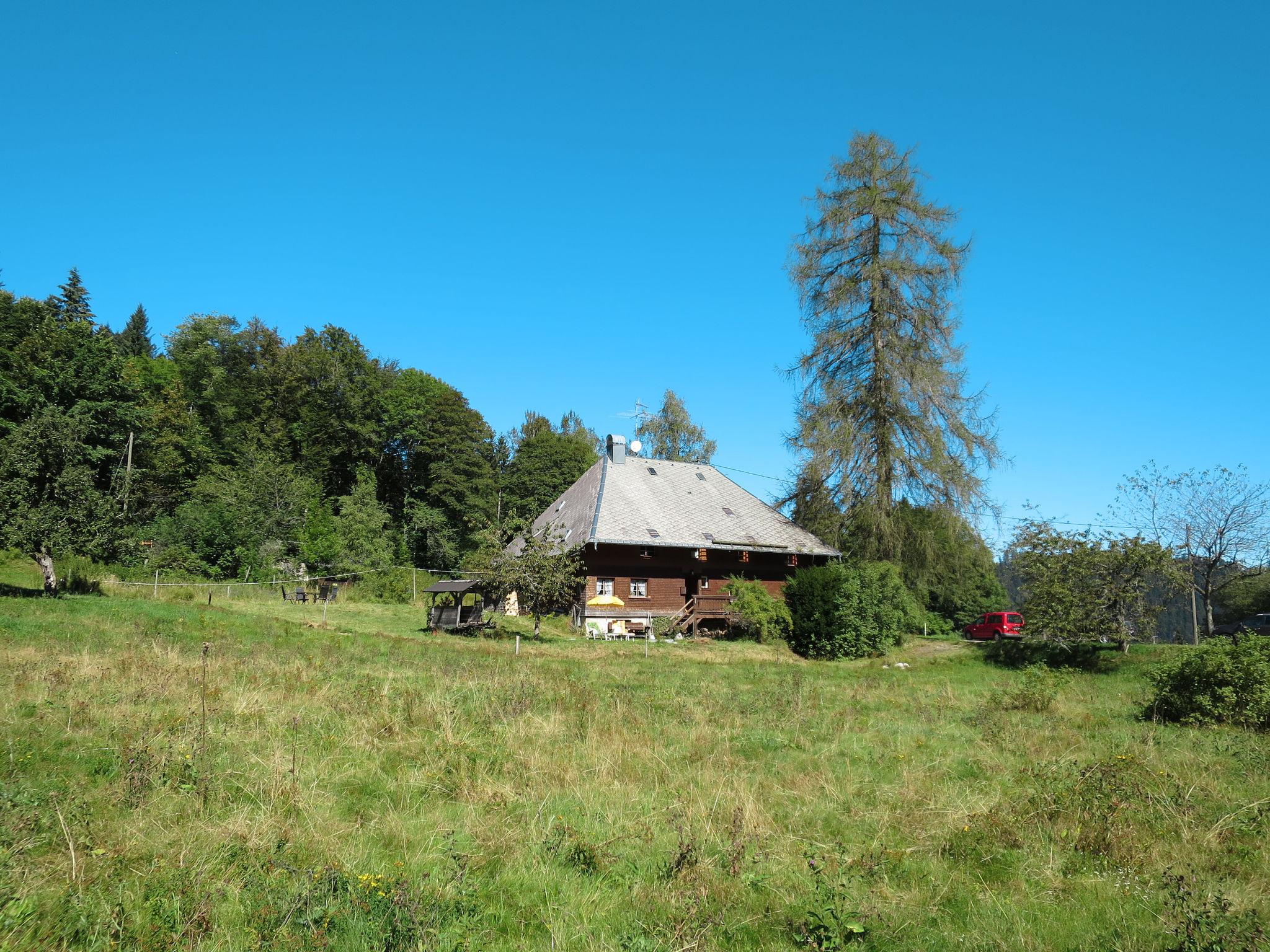 Foto 8 - Casa con 3 camere da letto a Hinterzarten con giardino e vista sulle montagne