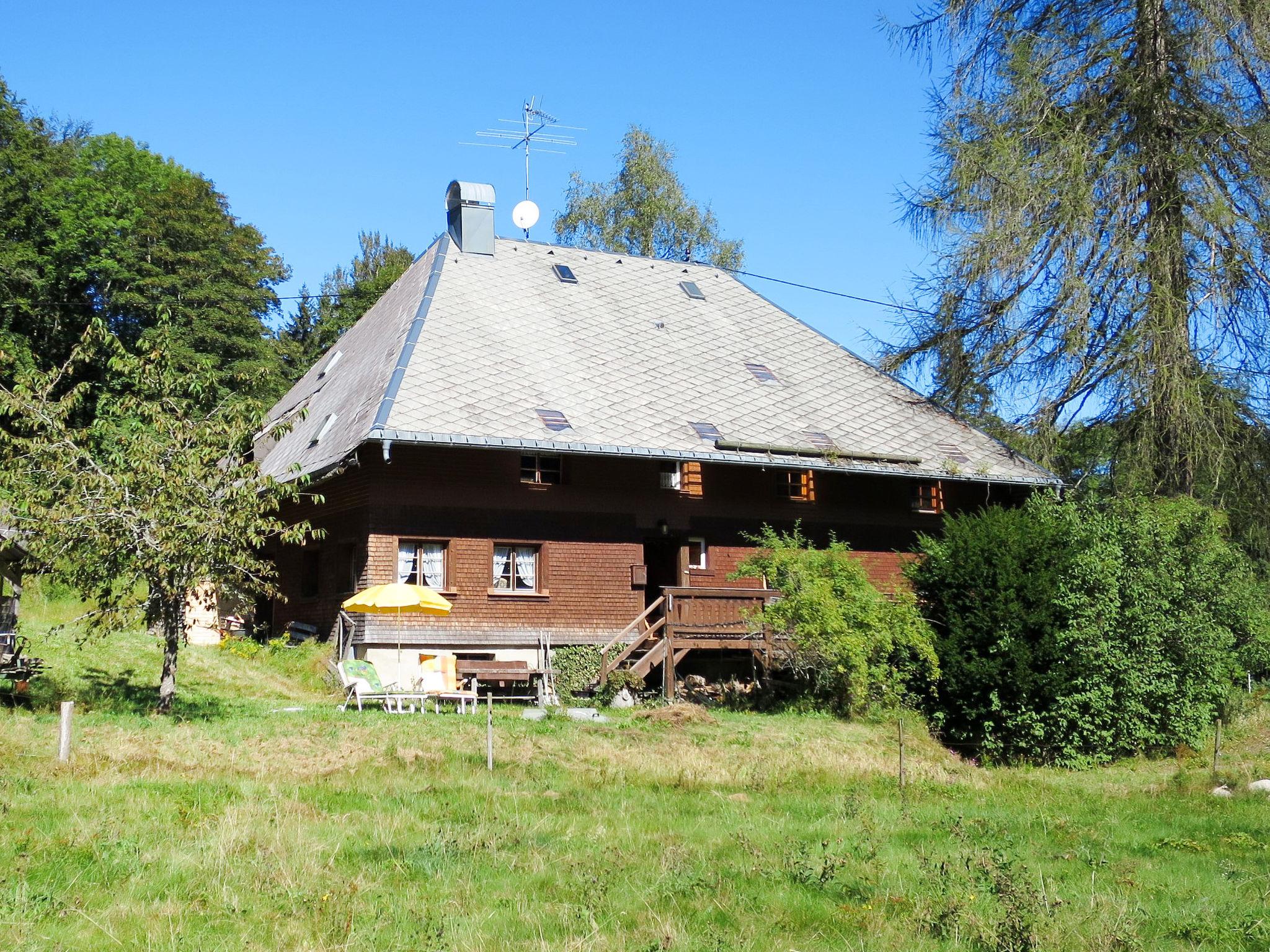 Foto 20 - Casa de 3 quartos em Hinterzarten com jardim e vista para a montanha