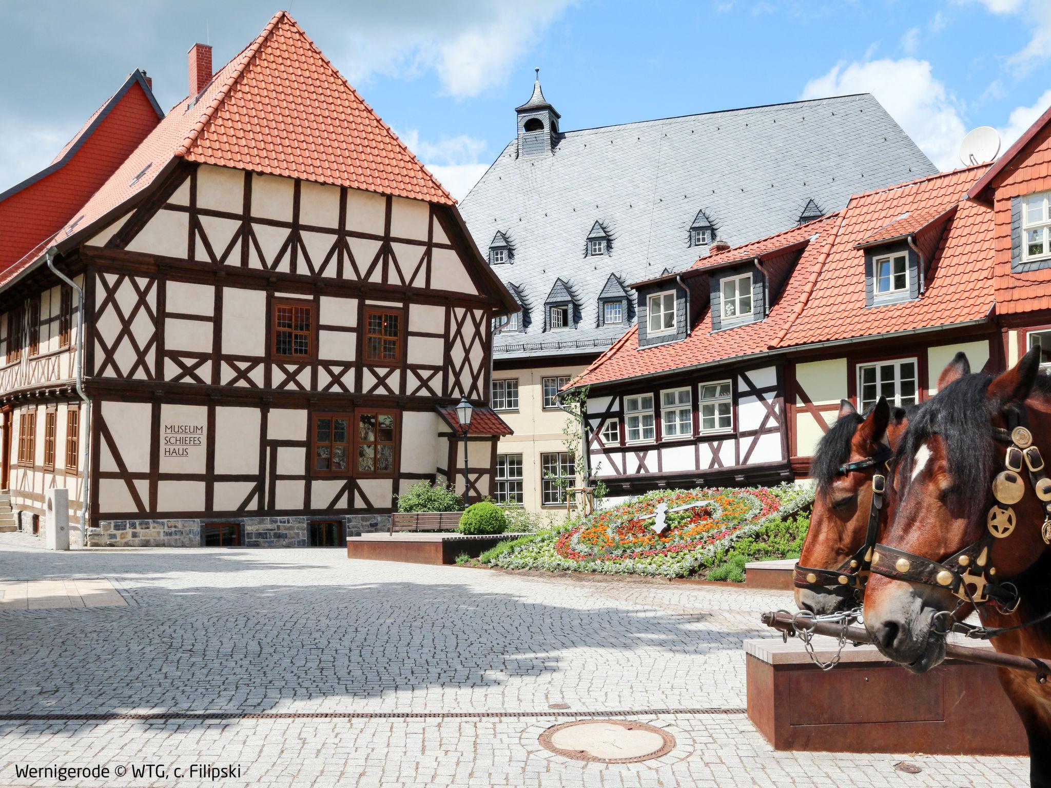 Foto 17 - Casa de 2 quartos em Wernigerode com piscina e jardim