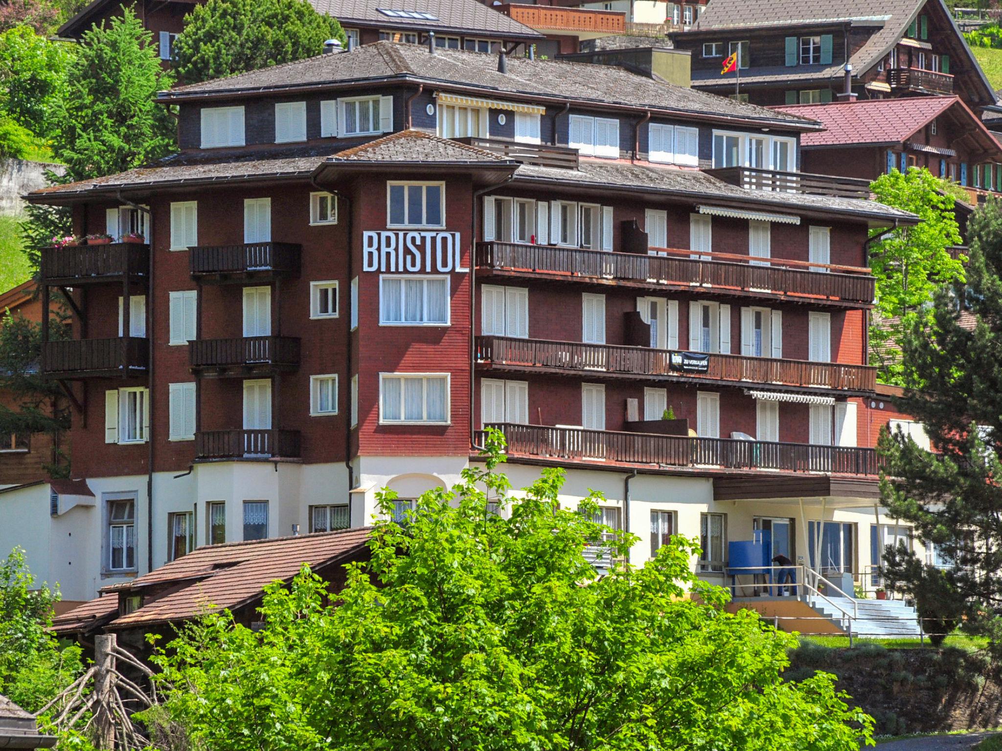 Foto 5 - Apartamento de 2 habitaciones en Lauterbrunnen con bañera de hidromasaje y vistas a la montaña