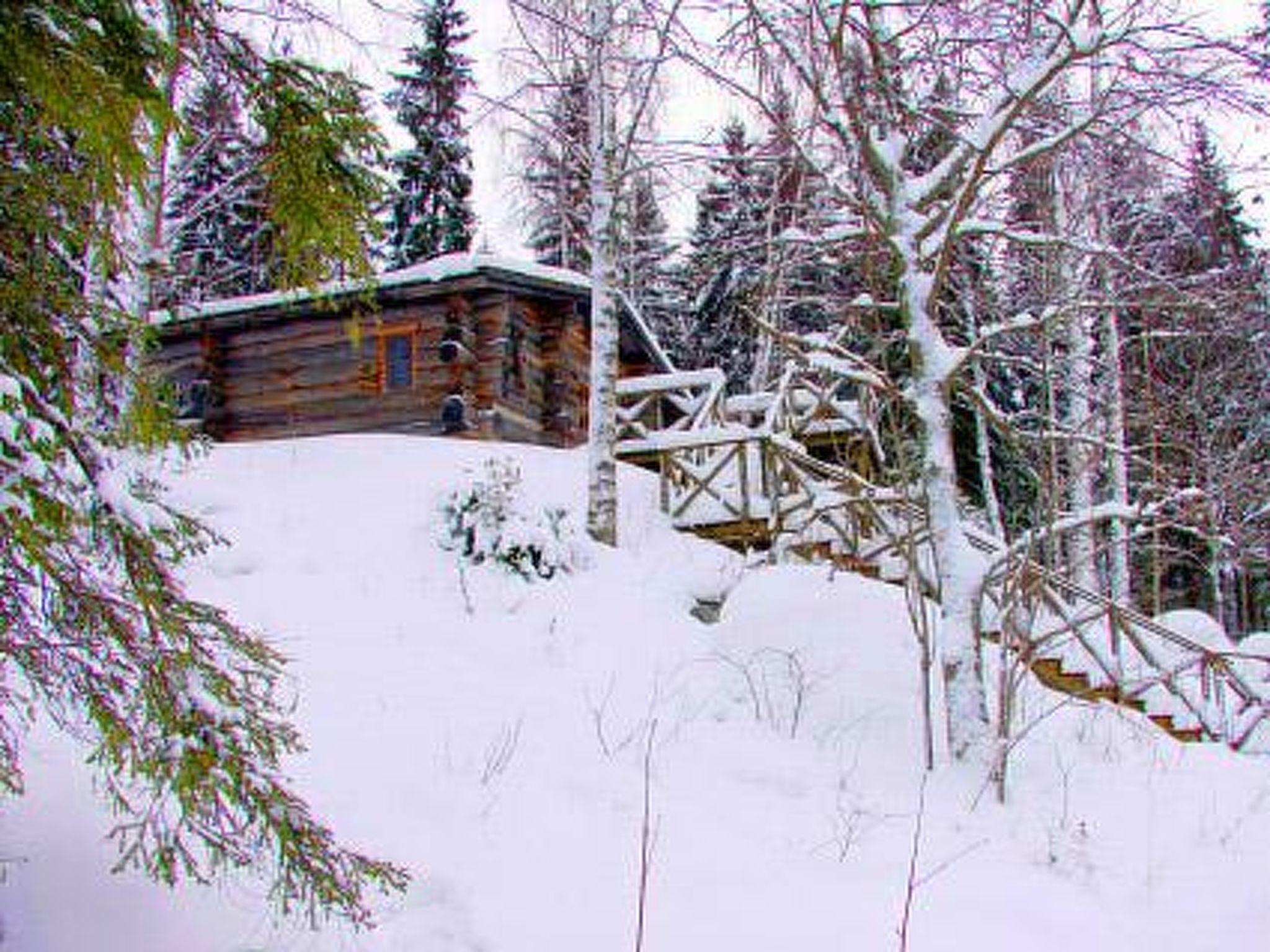 Photo 23 - Maison de 1 chambre à Asikkala avec sauna