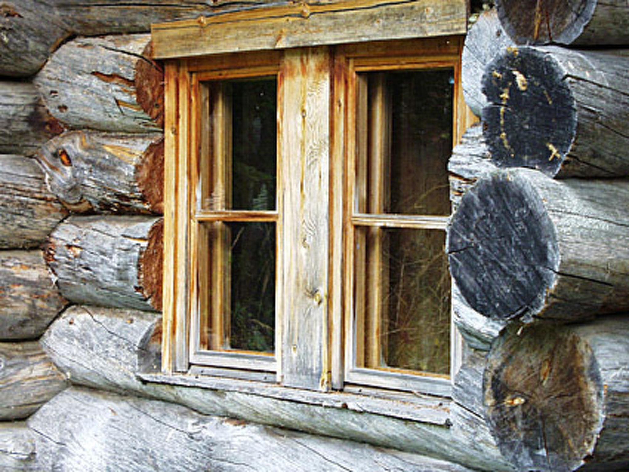 Photo 28 - Maison de 1 chambre à Asikkala avec sauna