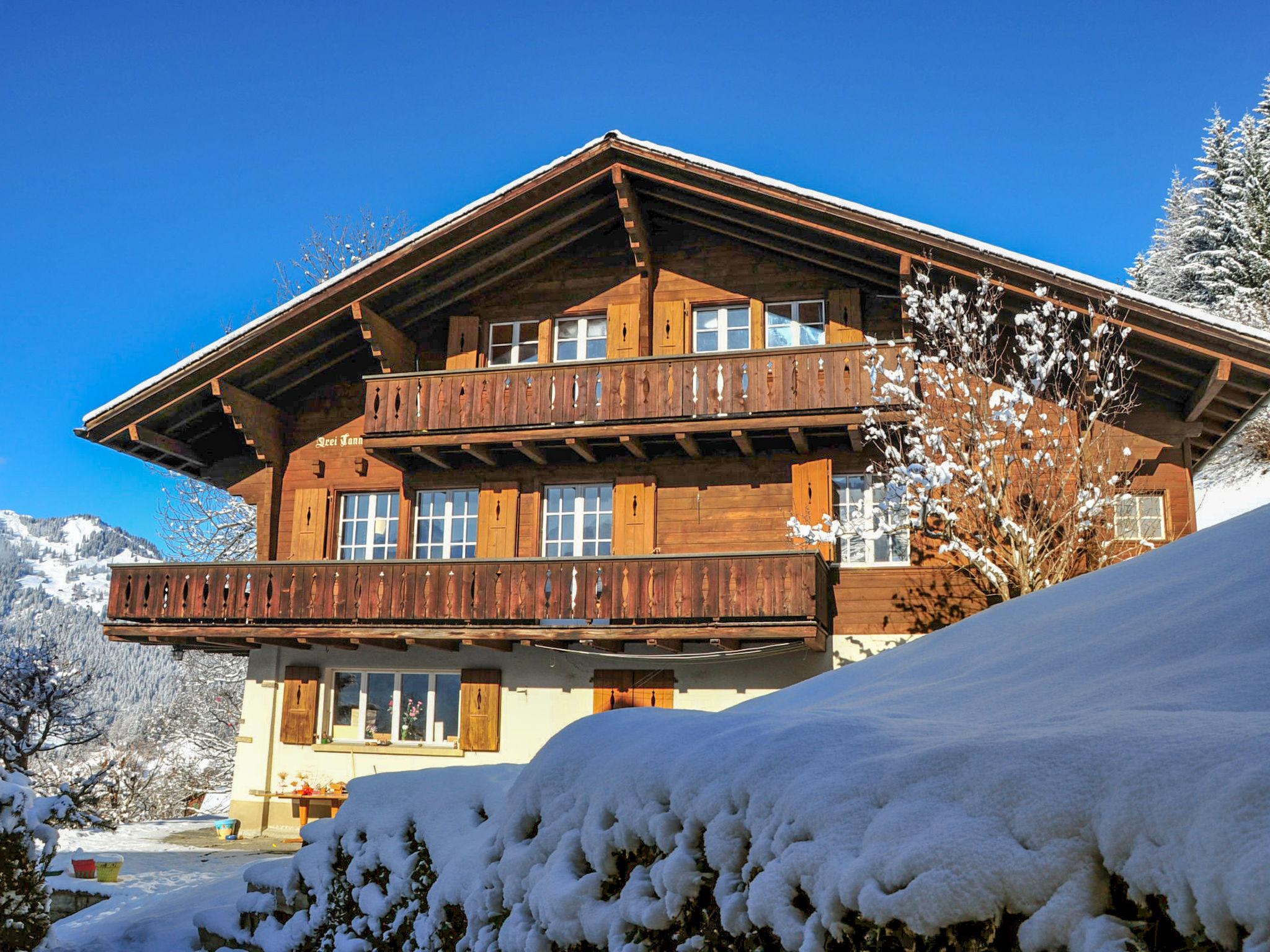 Foto 21 - Apartamento de 2 quartos em Lauterbrunnen com vista para a montanha