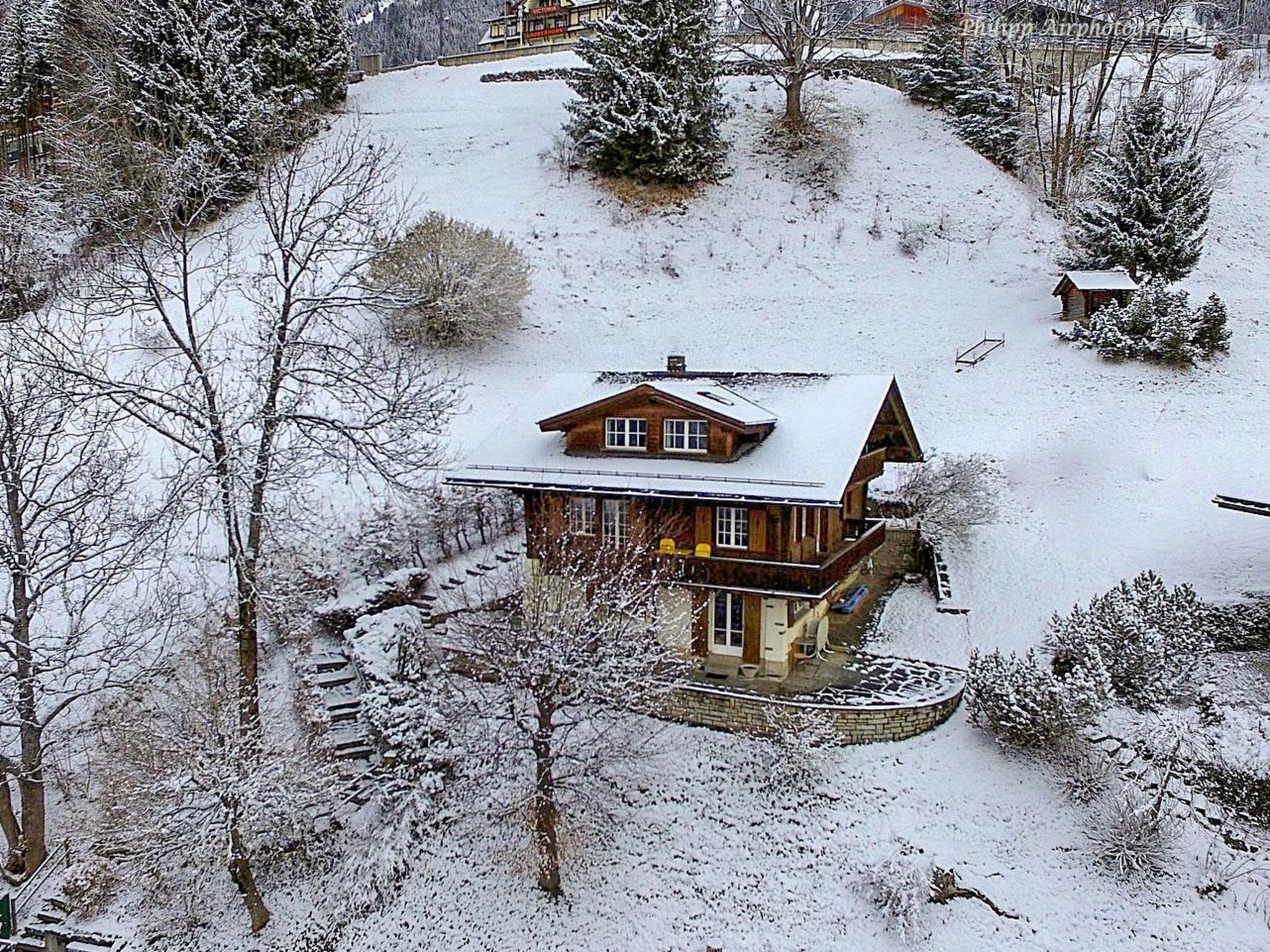 Photo 23 - Appartement de 2 chambres à Lauterbrunnen avec vues sur la montagne