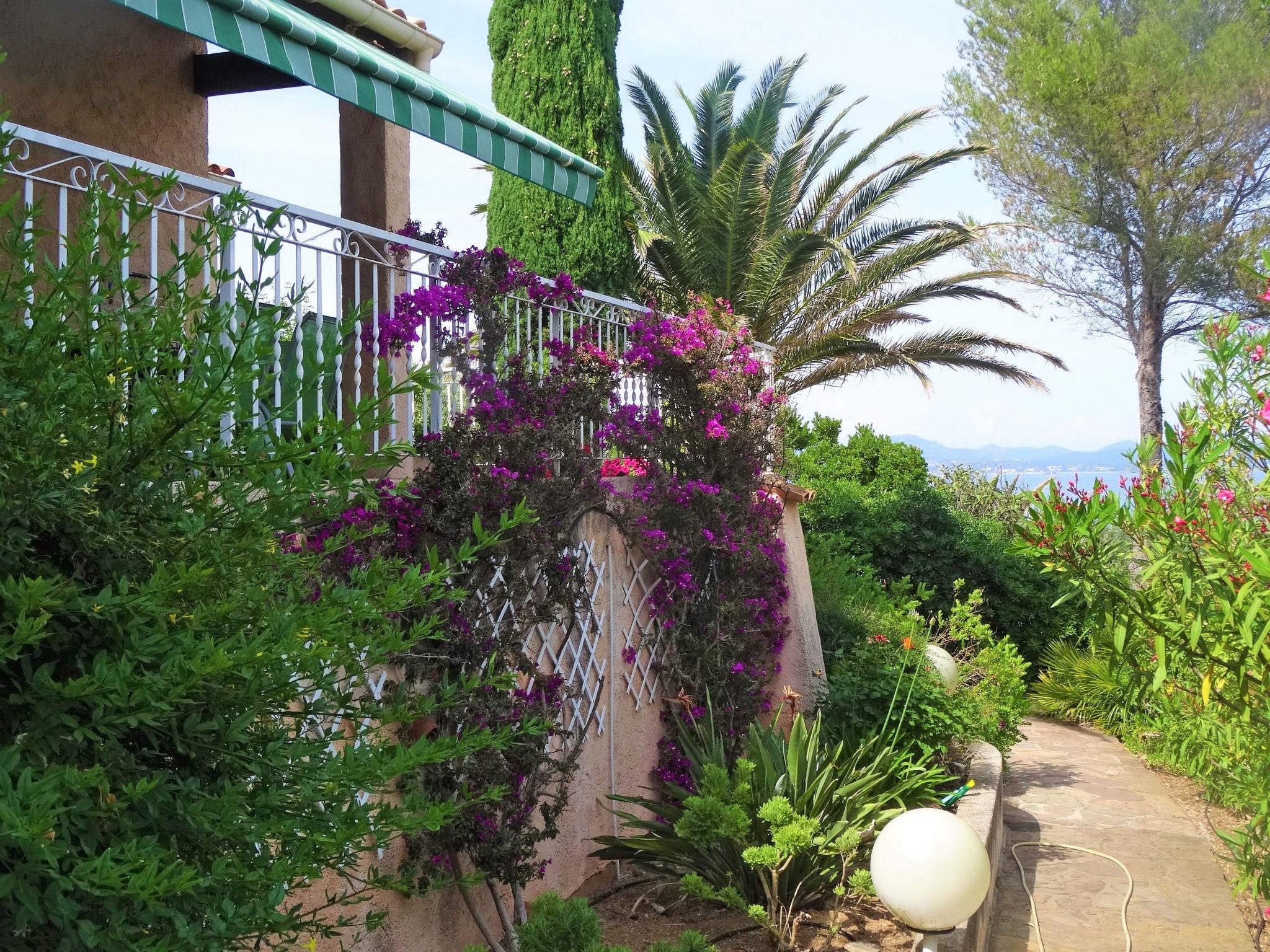 Foto 20 - Casa de 3 quartos em Roquebrune-sur-Argens com terraço e vistas do mar