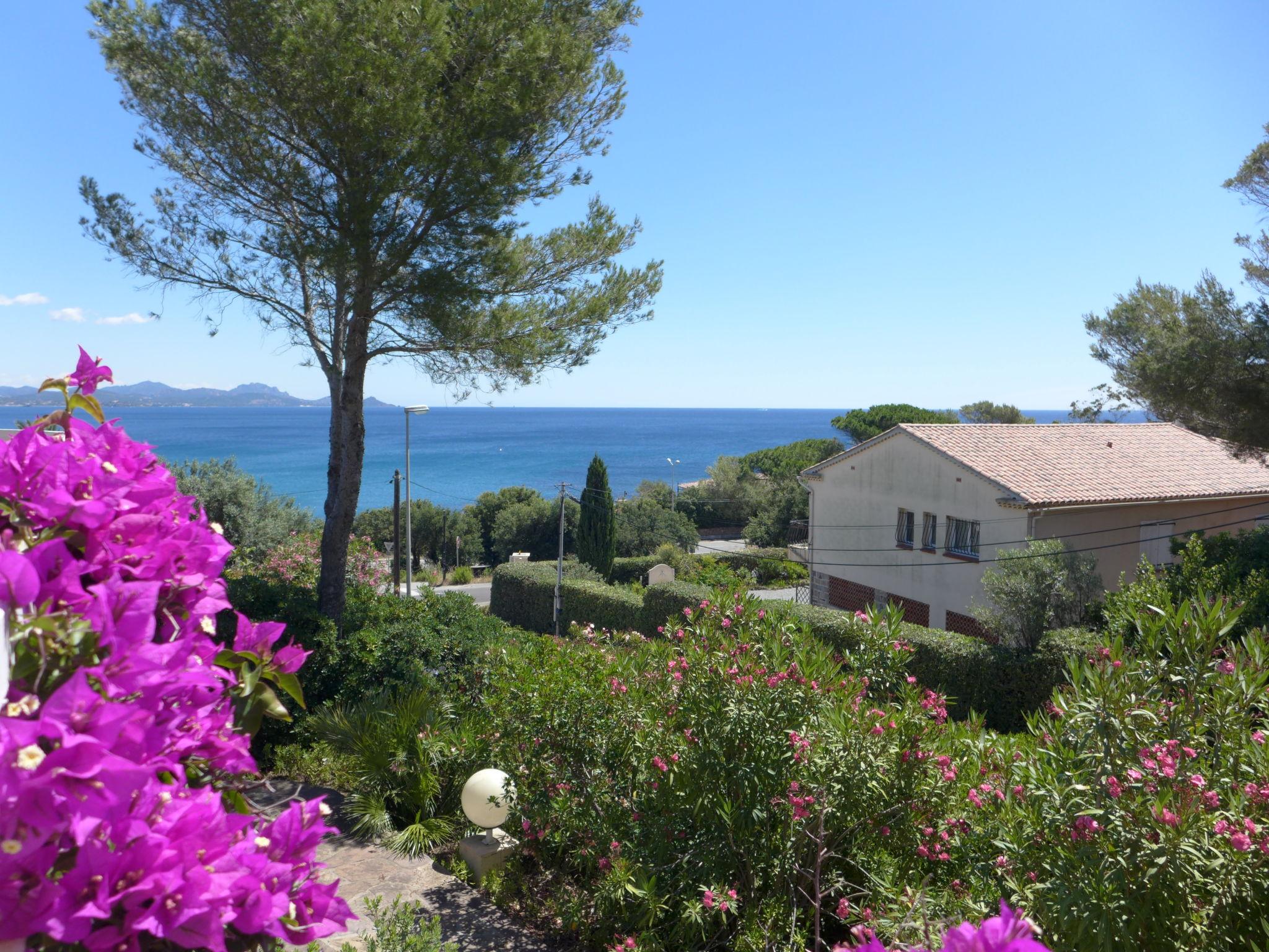 Foto 1 - Casa de 3 habitaciones en Roquebrune-sur-Argens con terraza y vistas al mar