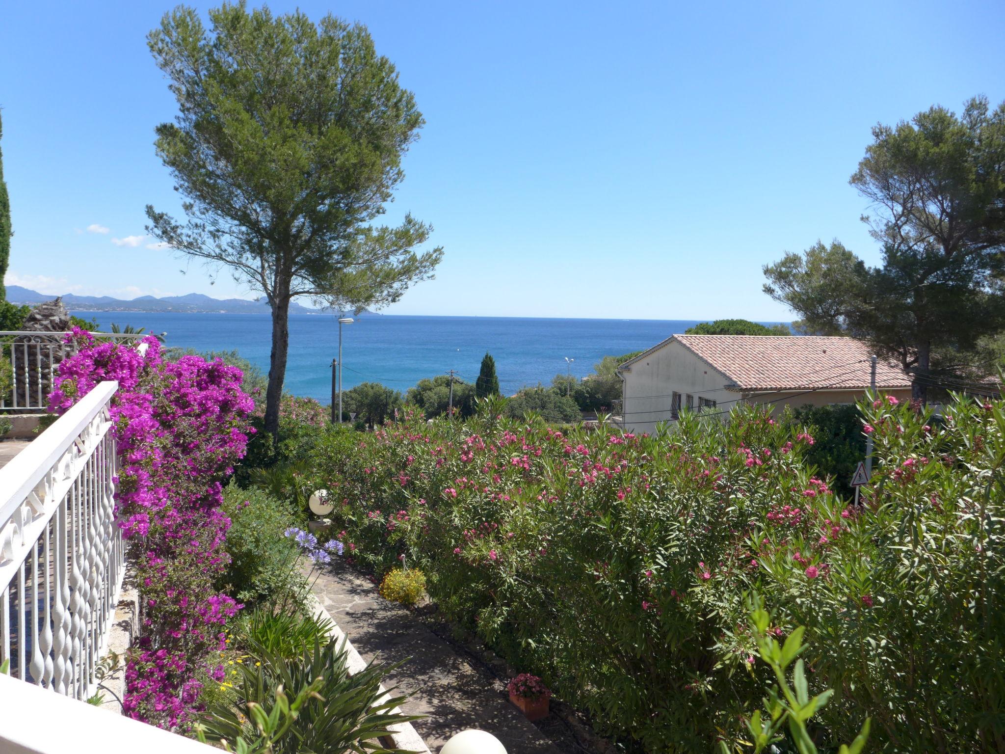 Photo 22 - Maison de 3 chambres à Roquebrune-sur-Argens avec terrasse et vues à la mer