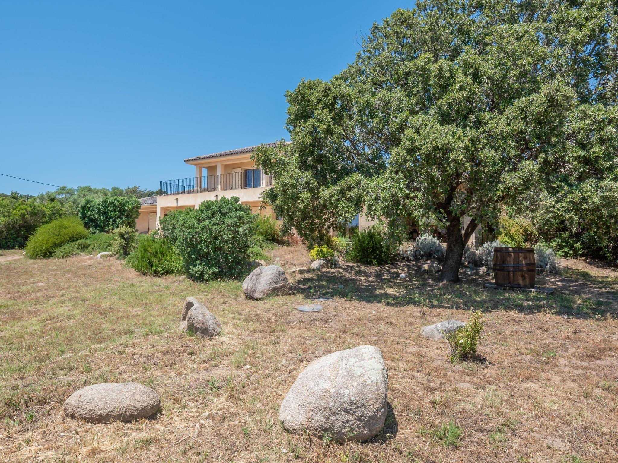 Foto 35 - Casa con 5 camere da letto a Pianottoli-Caldarello con piscina privata e giardino