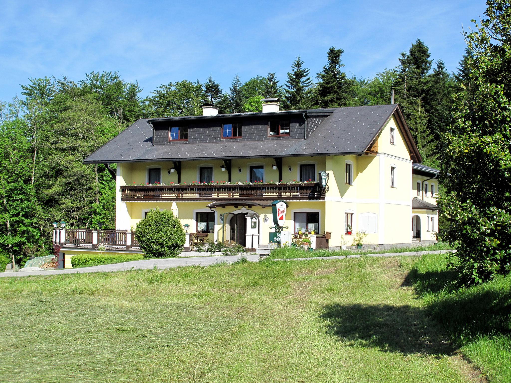 Photo 16 - Appartement de 2 chambres à Oberwang avec vues sur la montagne