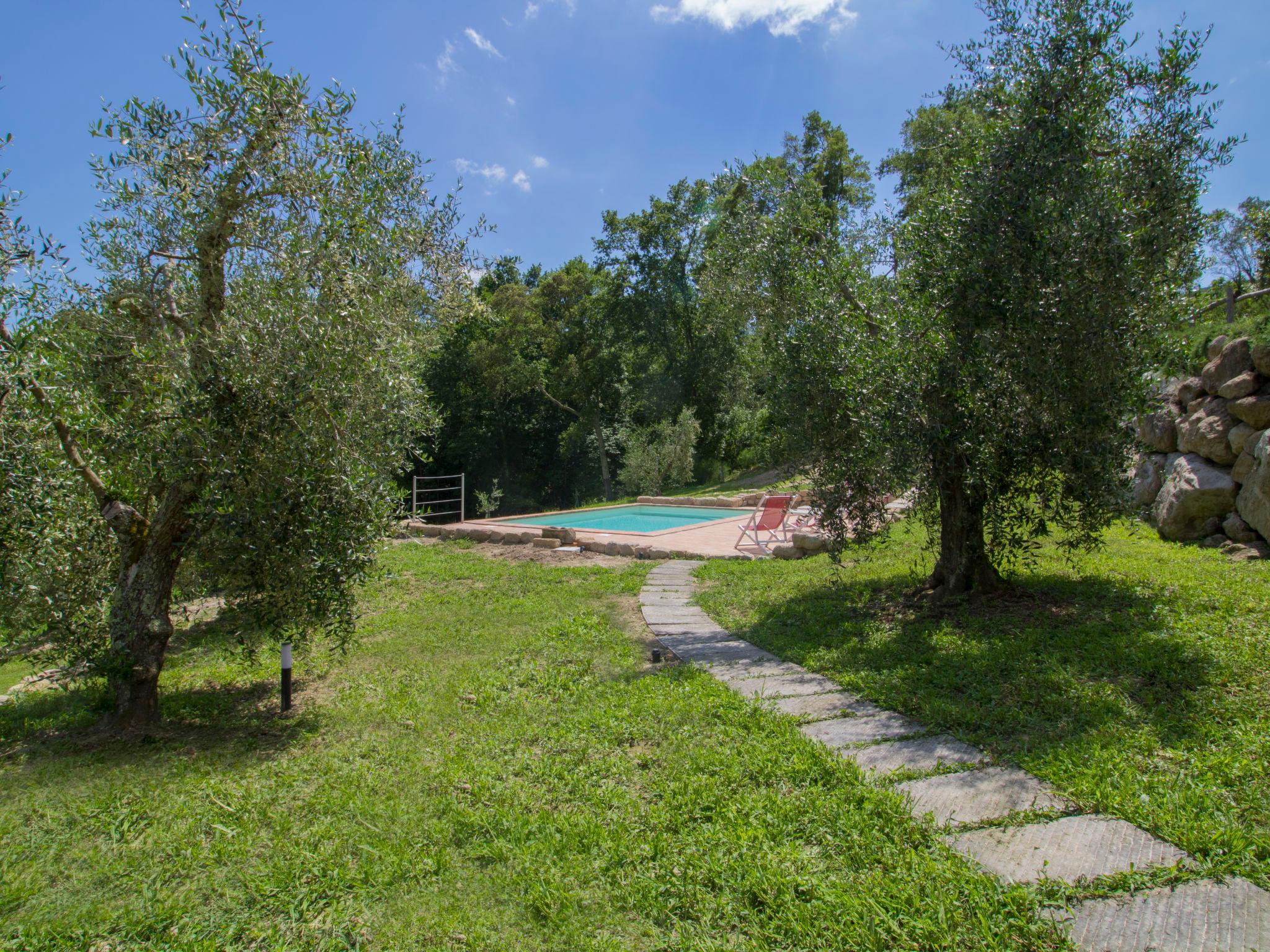 Foto 21 - Casa de 2 habitaciones en Roccastrada con piscina privada y jardín