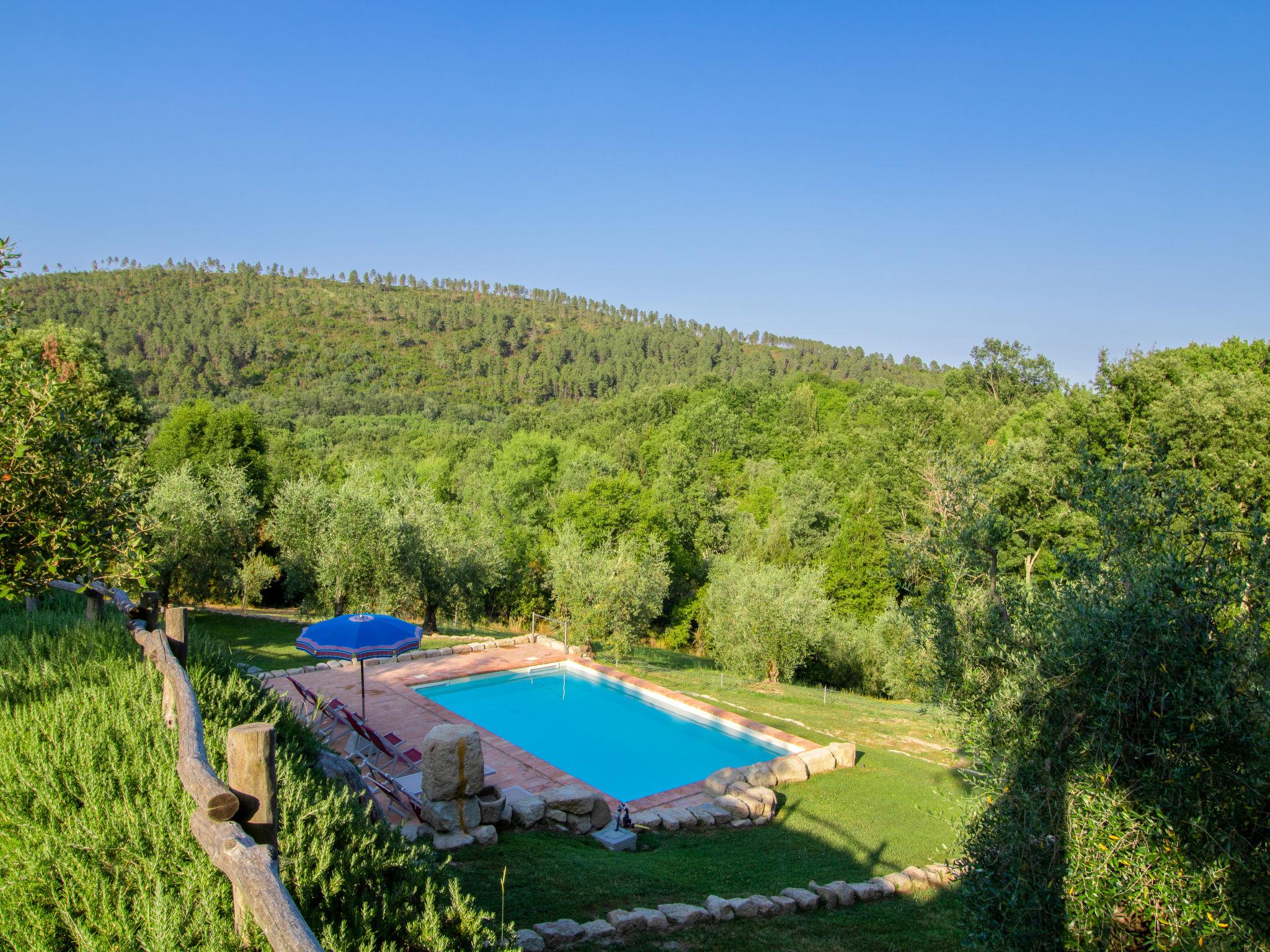 Photo 28 - Maison de 2 chambres à Roccastrada avec piscine privée et jardin