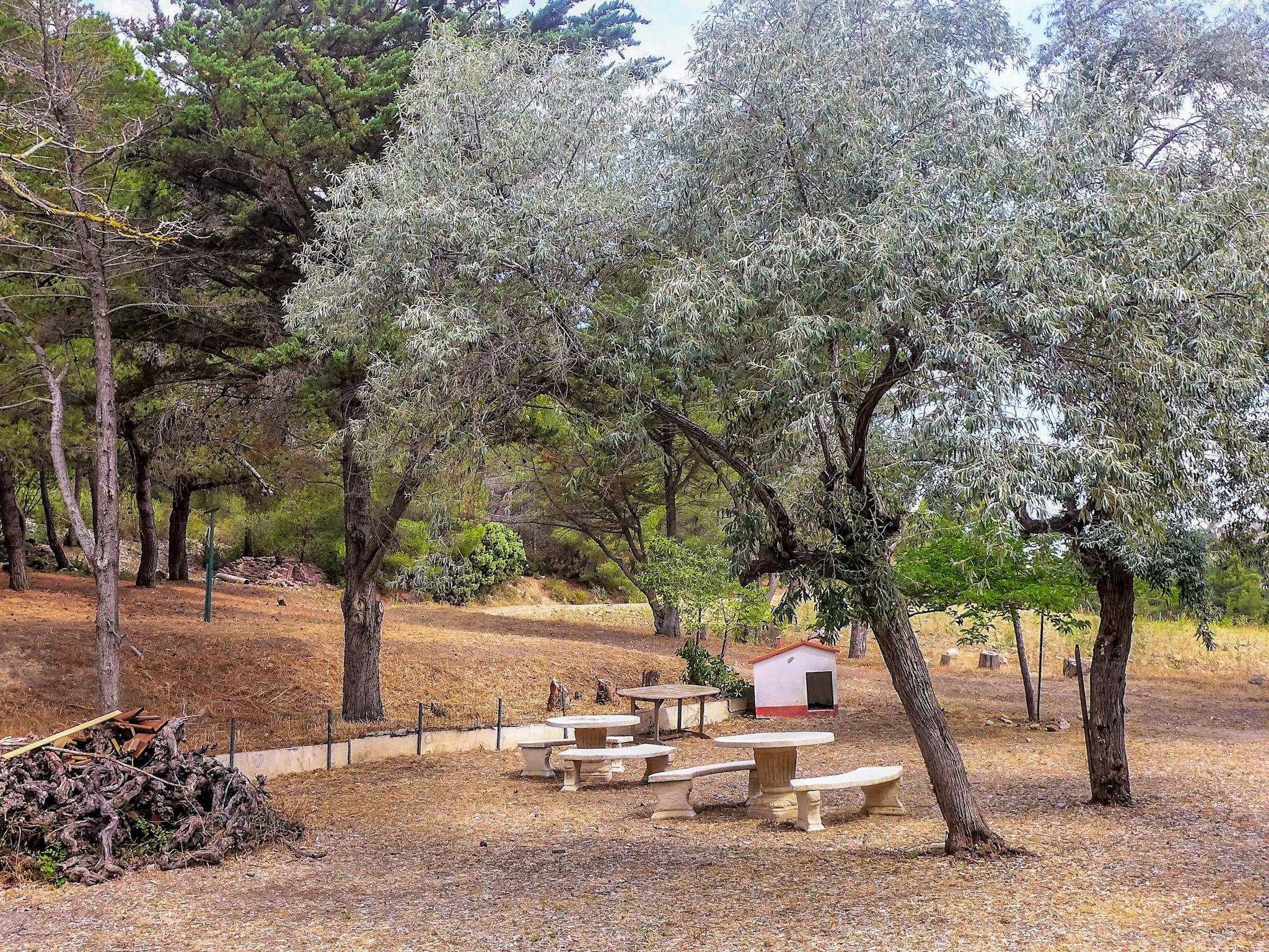 Foto 19 - Appartamento con 2 camere da letto a Narbonne con giardino