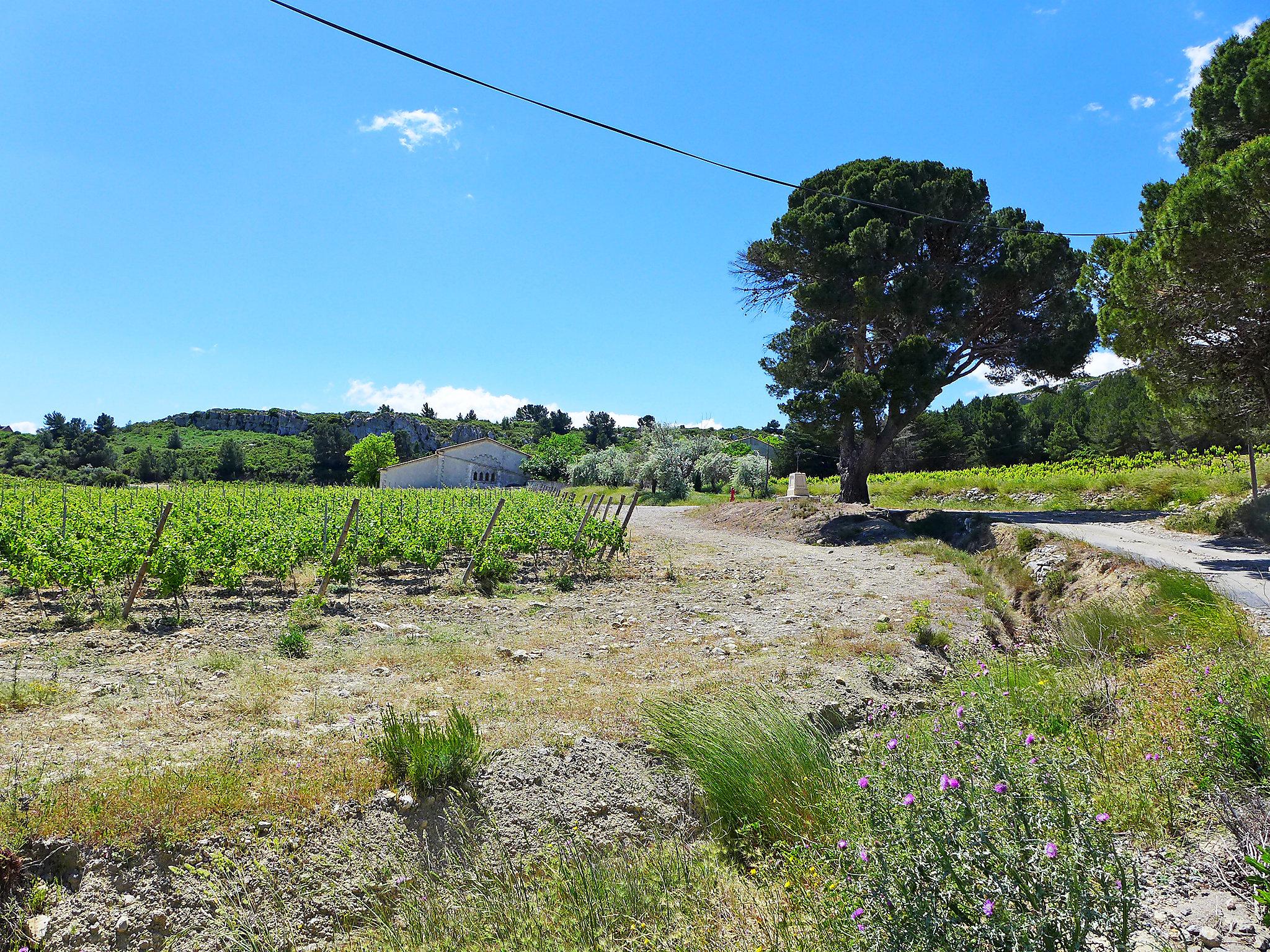 Foto 31 - Appartamento con 2 camere da letto a Narbonne con giardino