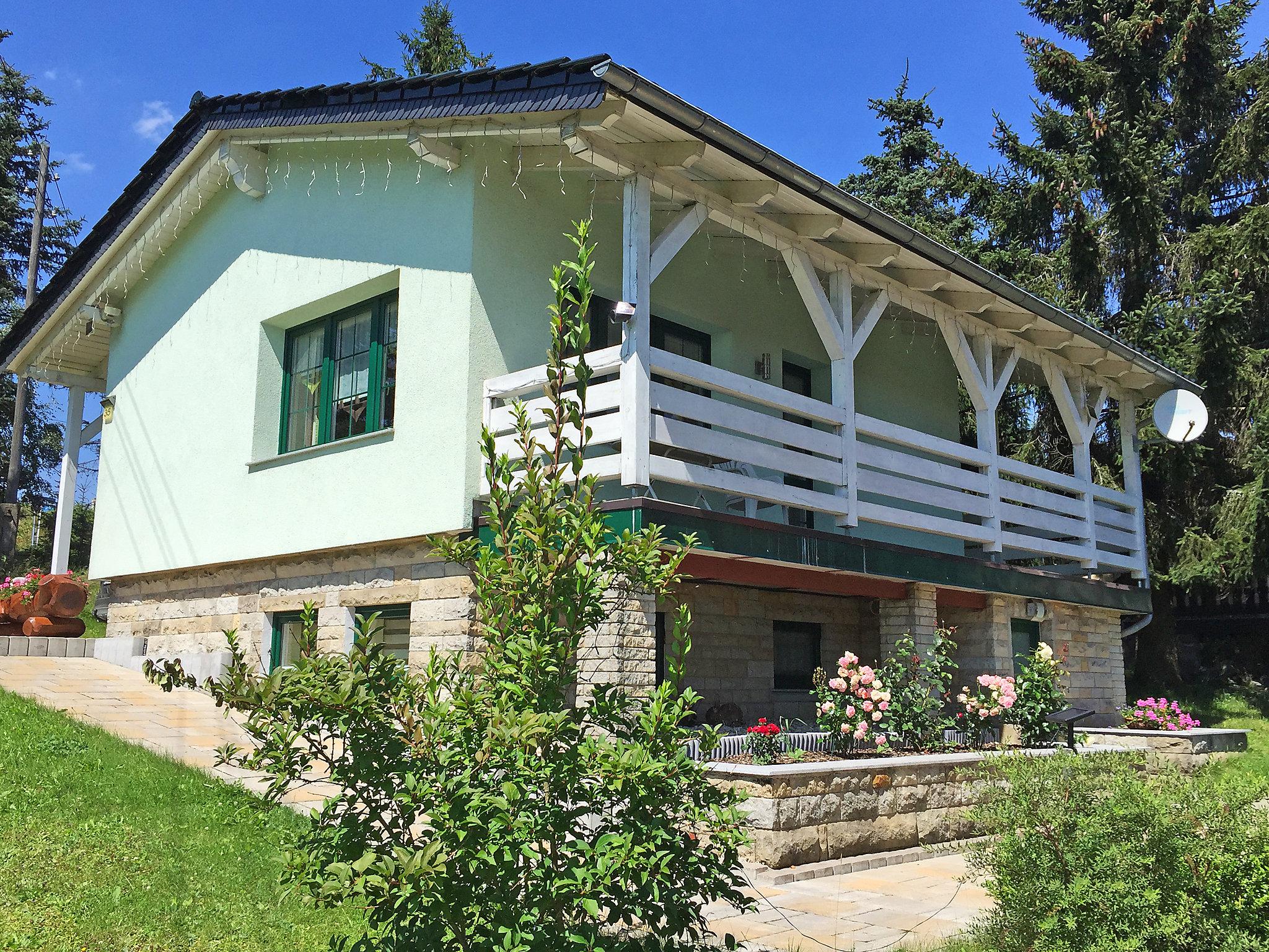 Photo 1 - Maison de 1 chambre à Masserberg avec terrasse et sauna