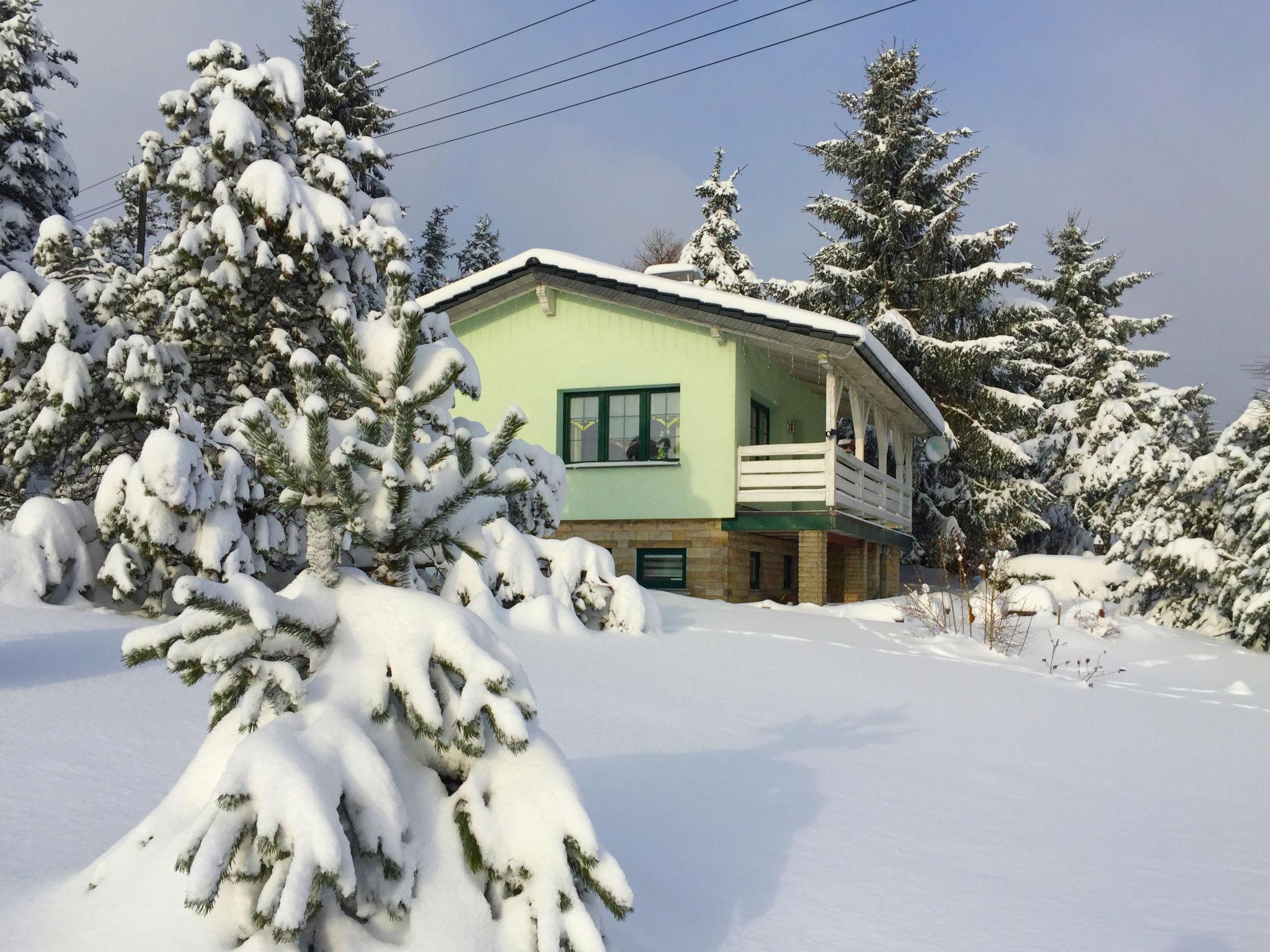 Photo 16 - Maison de 1 chambre à Masserberg avec terrasse et sauna
